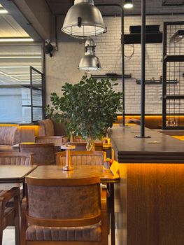 Trendy cafe interior featuring wooden furniture, industrial lighting, and a lush green plant.