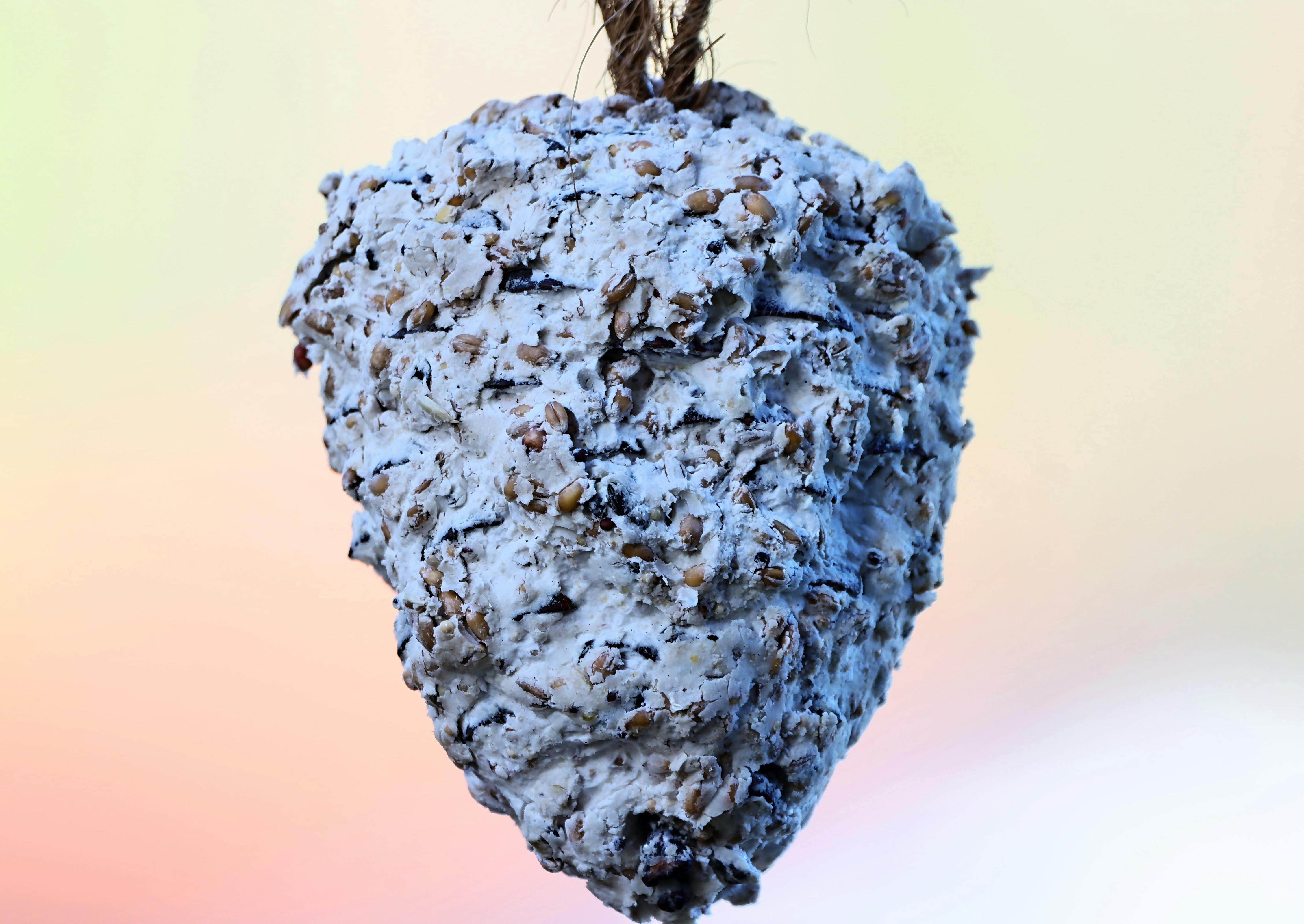 慈濟攜手SDGs 輔具助力弱勢翻轉生活