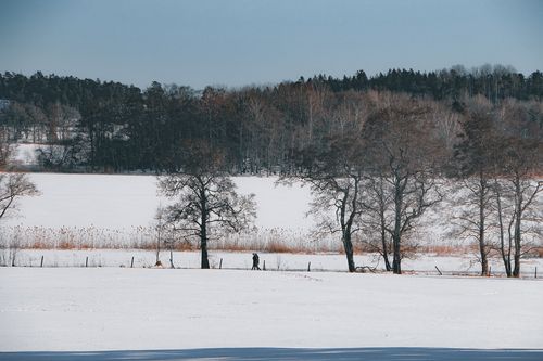 Free Serene winter scene in Stockholm, Sweden with snowy fields and distant trees. Stock Photo