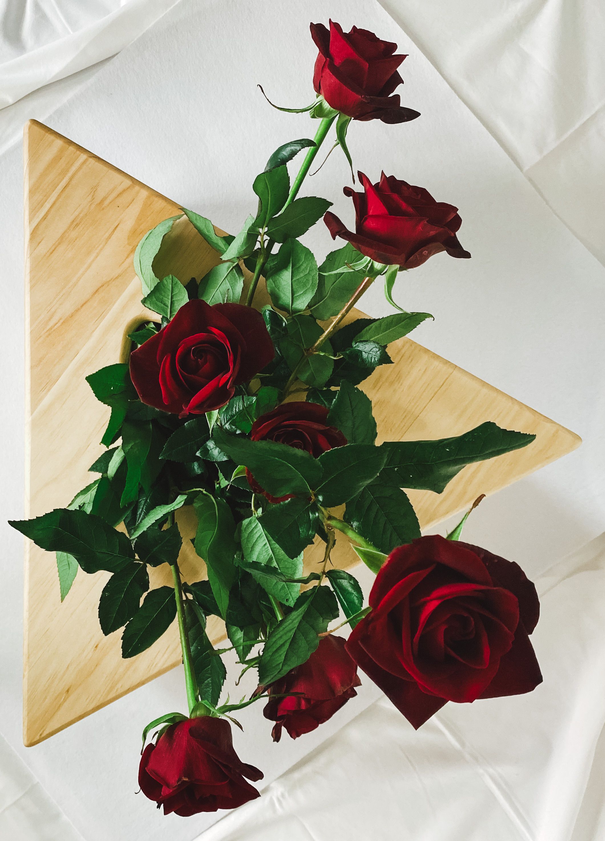 Elegant Bouquet of Red Roses on White Background · Free Stock Photo