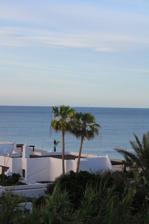 Free A tranquil view of palm trees and the ocean in Tetouan, Morocco, showcasing modern architecture and serene waters. Stock Photo