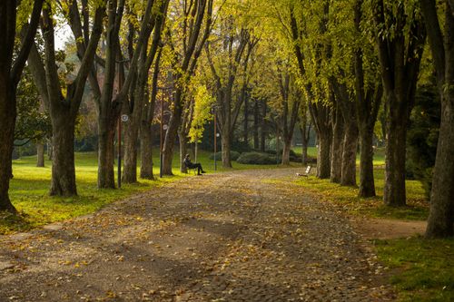 Free Tranquil path through a lush autumn park in Bursa, Türkiye. Serene nature scene. Stock Photo