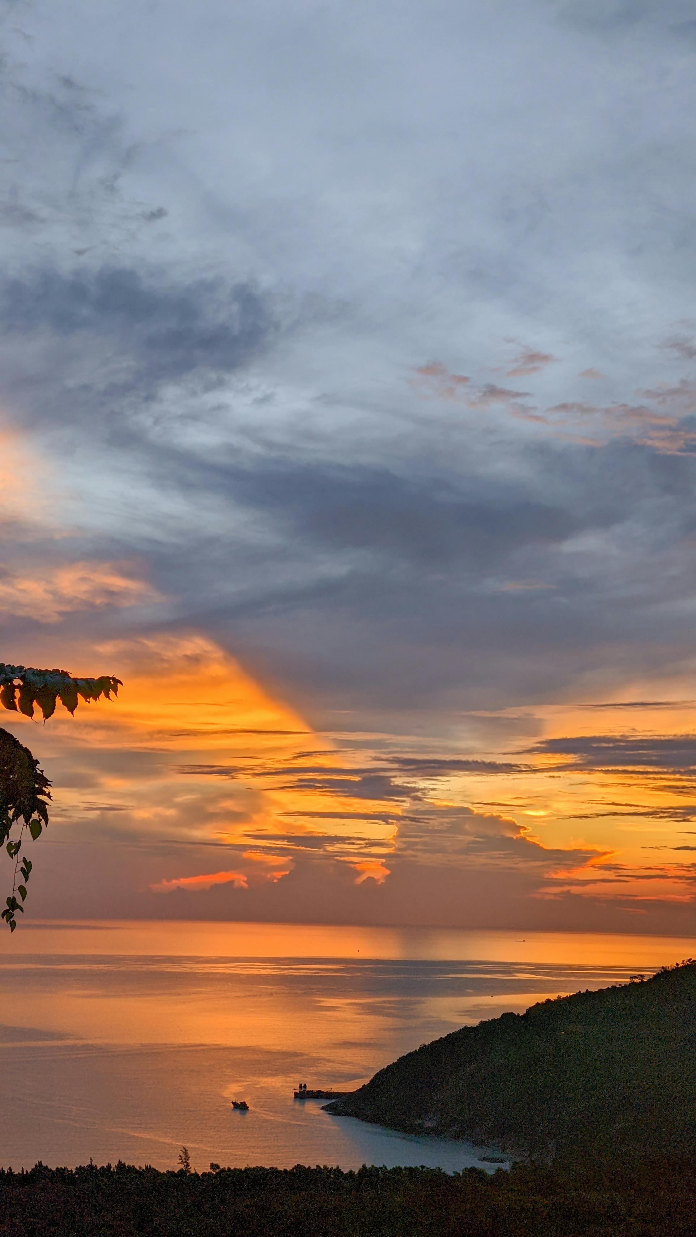 Hướng dẫn chi tiết về thiền cùng với chó 370 – thu cung, cham soc cho meo, cham soc meo, cham soc cho, huan luyen cho meo, cham soc thu cung, thien cung cho.