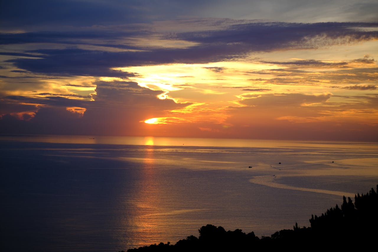 Gián điệp mạng | Chương 24