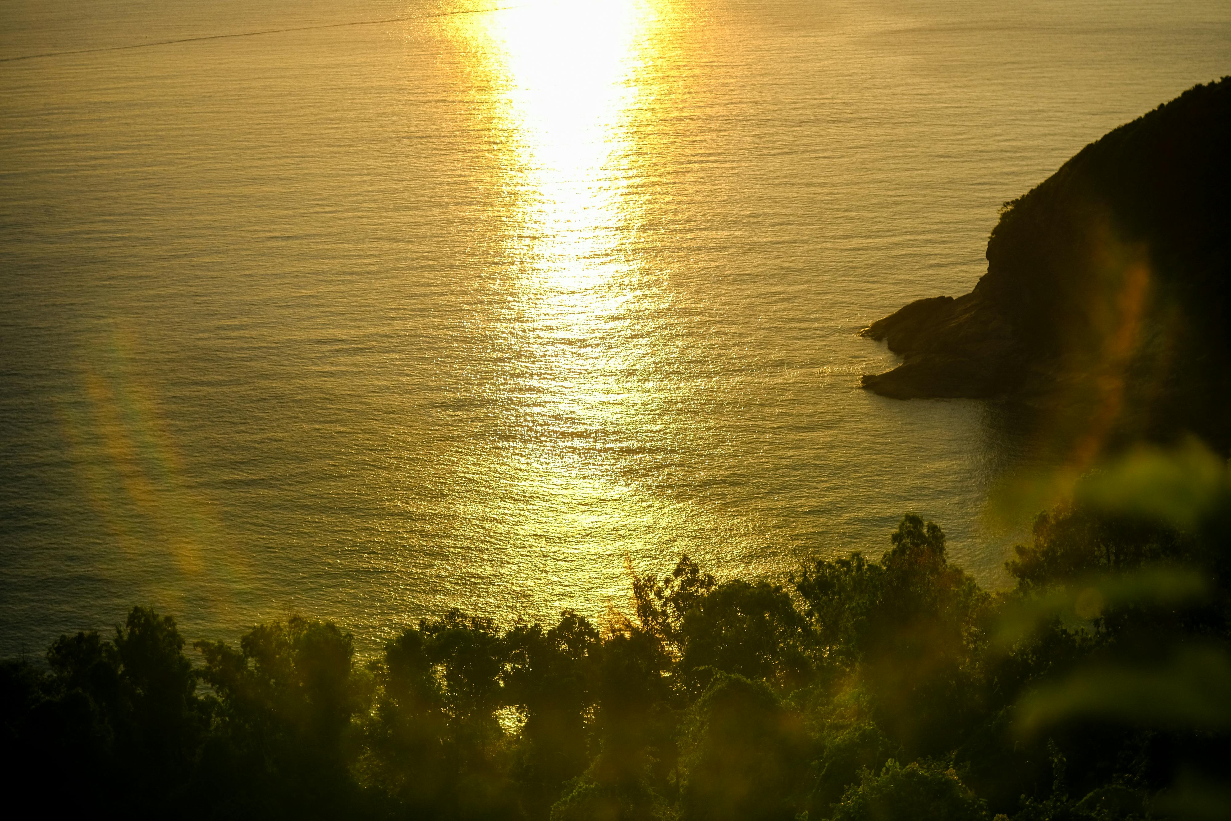 Trung tâm nghiên cứu văn học, phát triển nhà văn Việt Nam