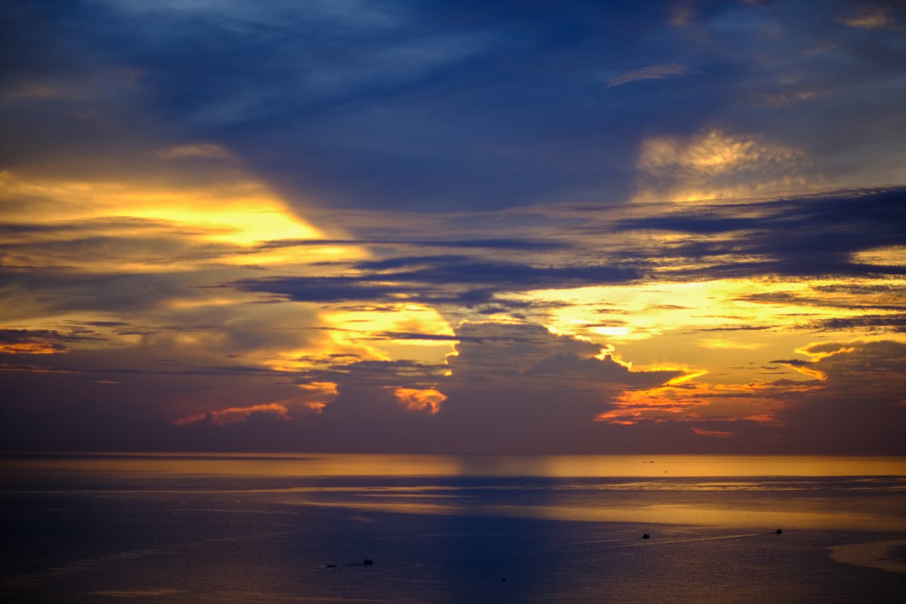 Không khóc ở California