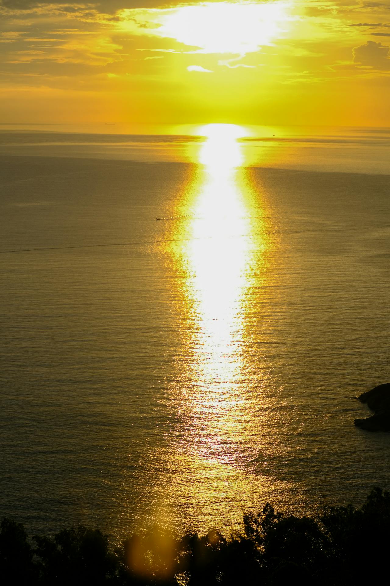 Biên niên ký chim vặn dây cót | Chương 39