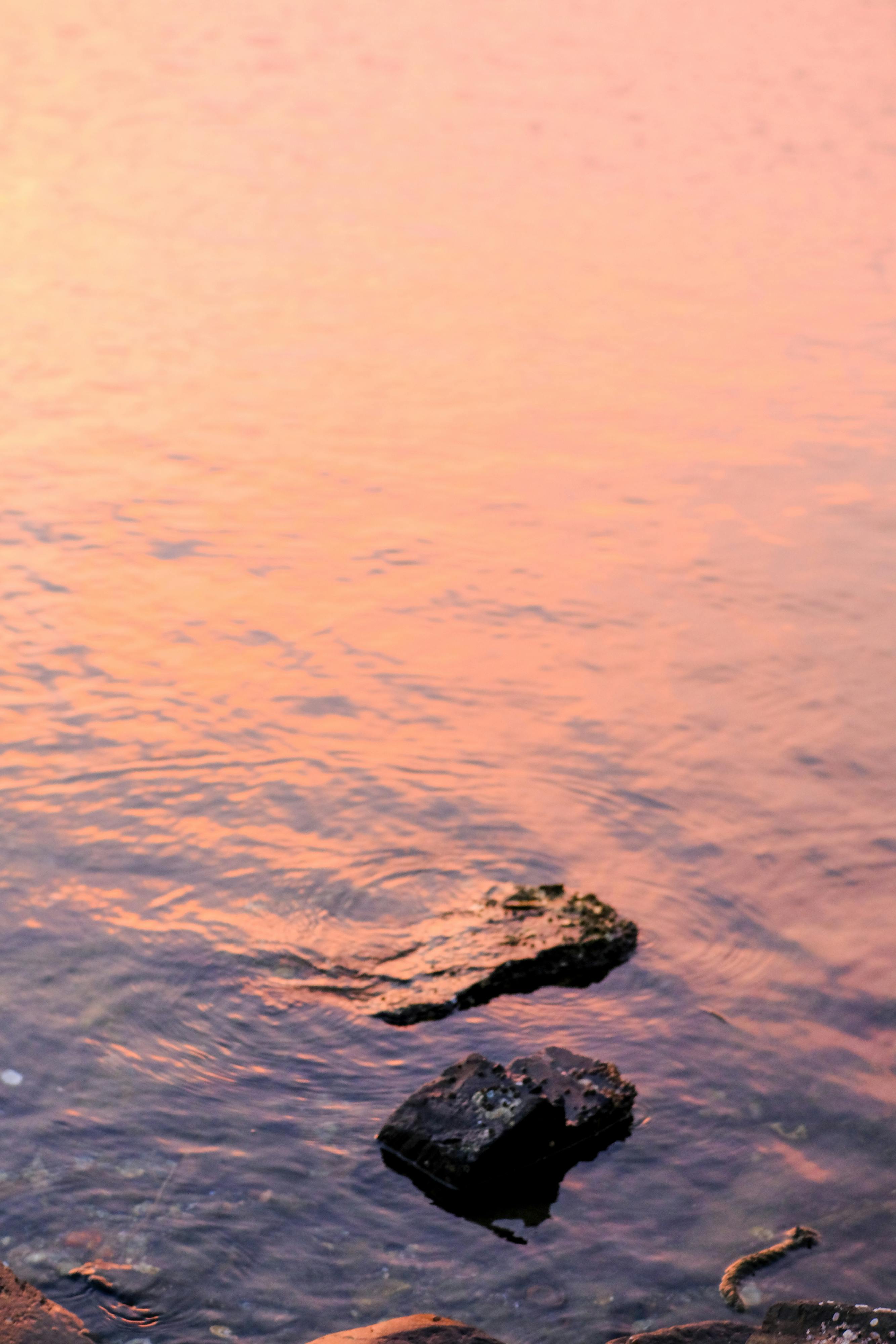 Trung tâm nghiên cứu văn học, phát triển nhà văn Việt Nam