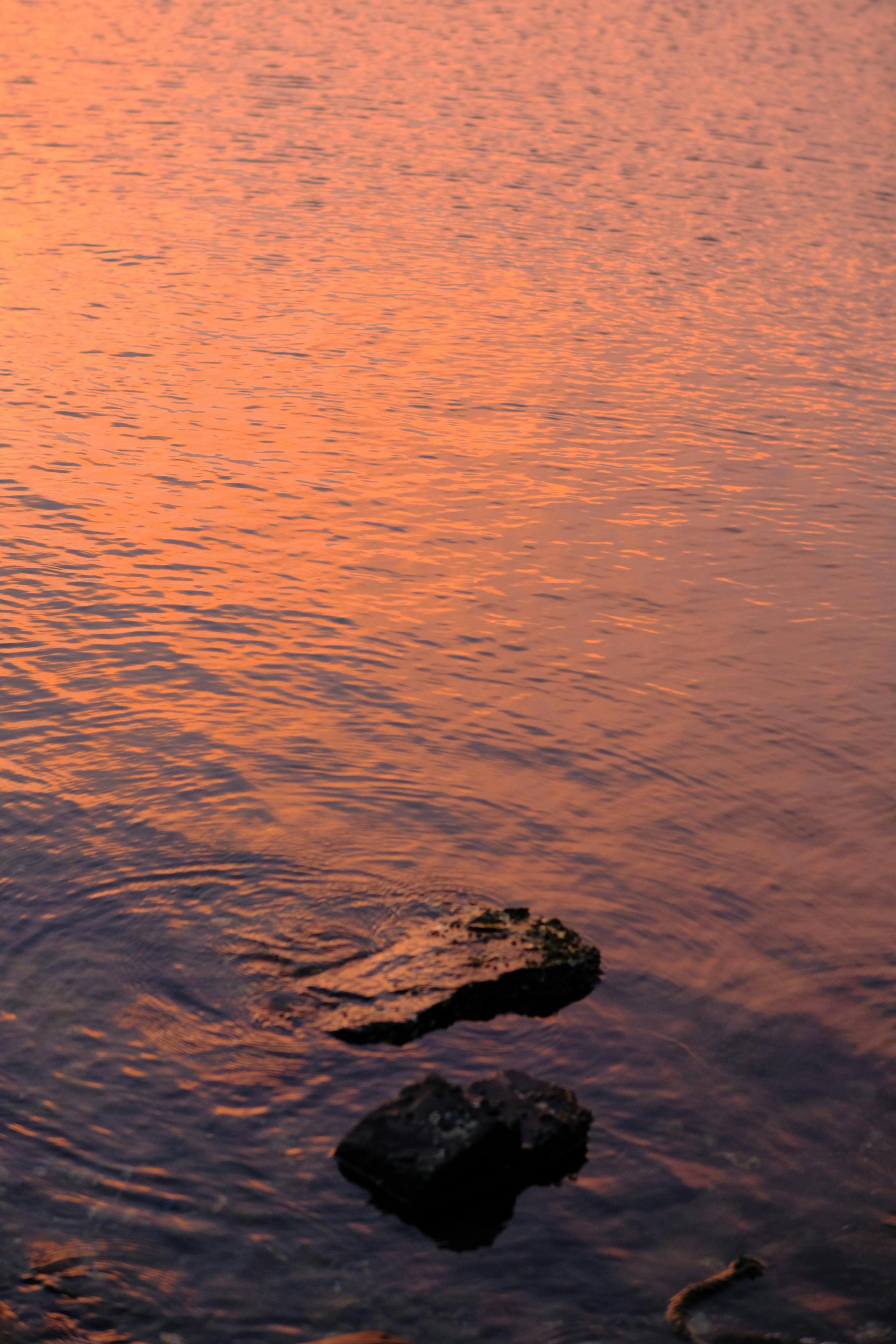 Trung tâm nghiên cứu văn học, phát triển nhà văn Việt Nam