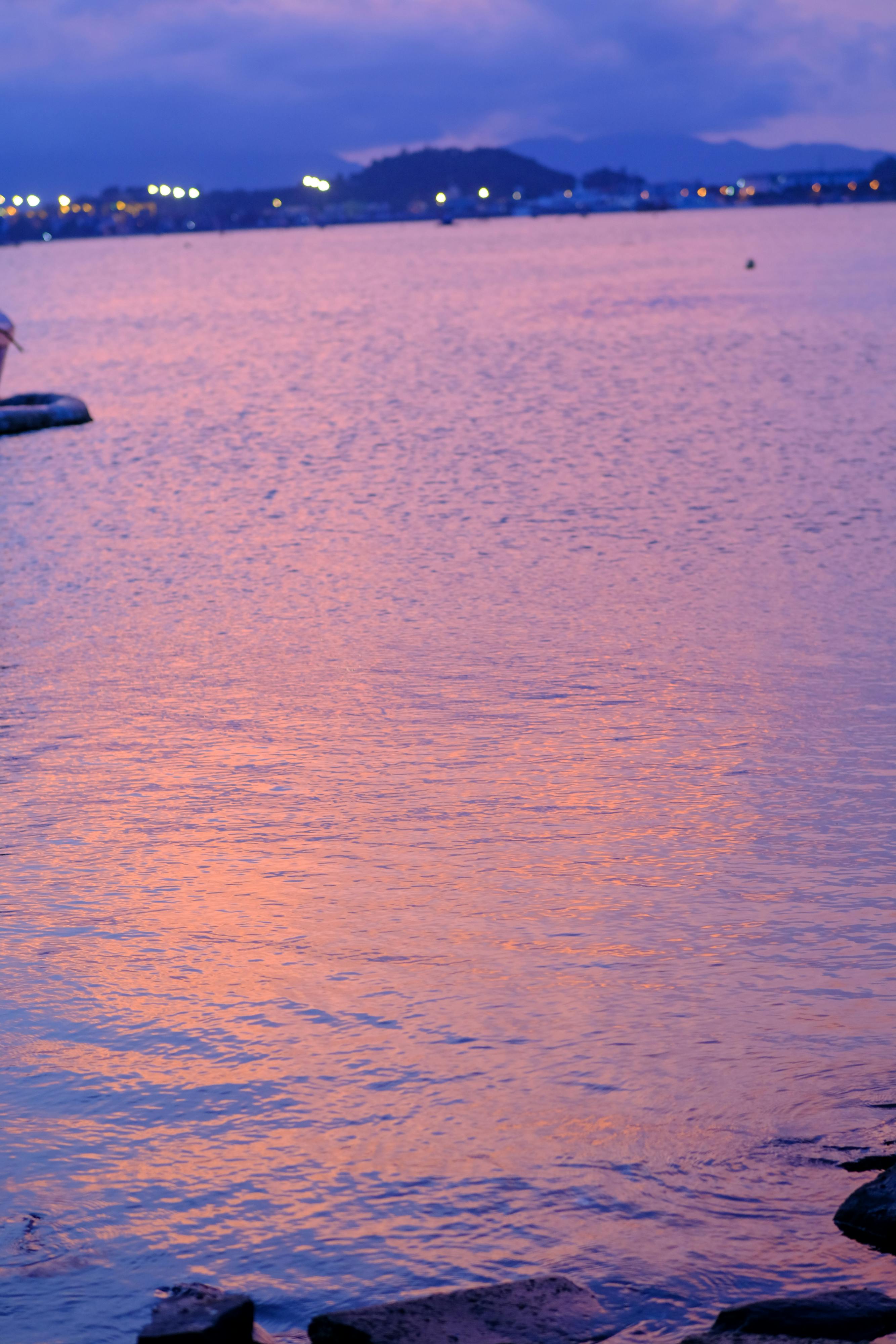 Trung tâm nghiên cứu văn học, phát triển nhà văn Việt Nam