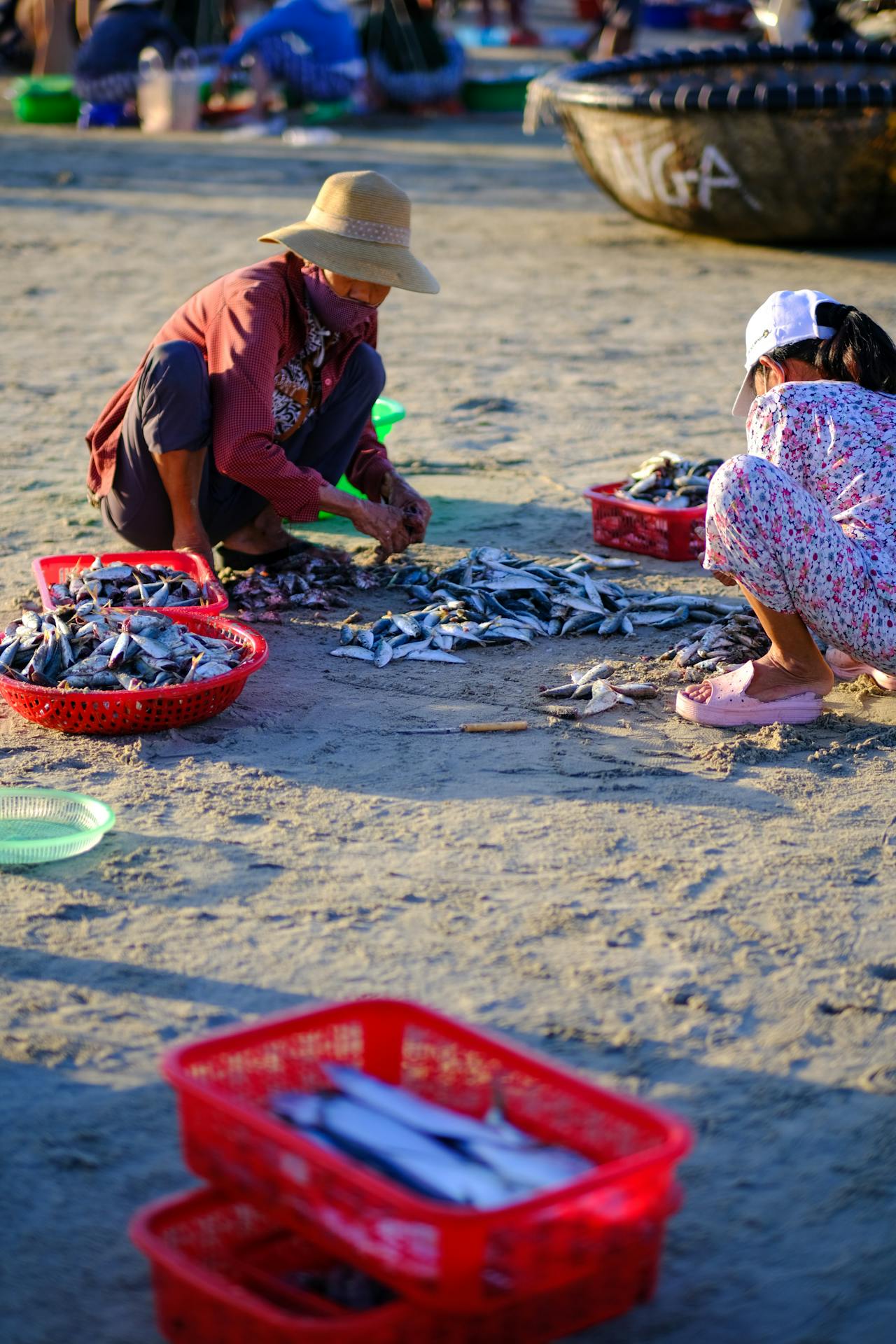 Thám tử lừng danh Conan | Chương 0537
