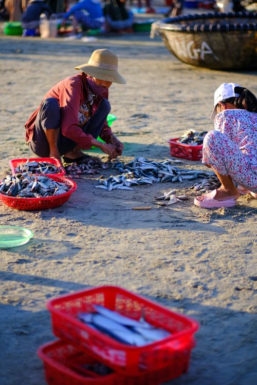 Free Two fishermen sorting their catch on a beach in Da Nang, Vietnam, with red baskets filled with fish. Stock Photo