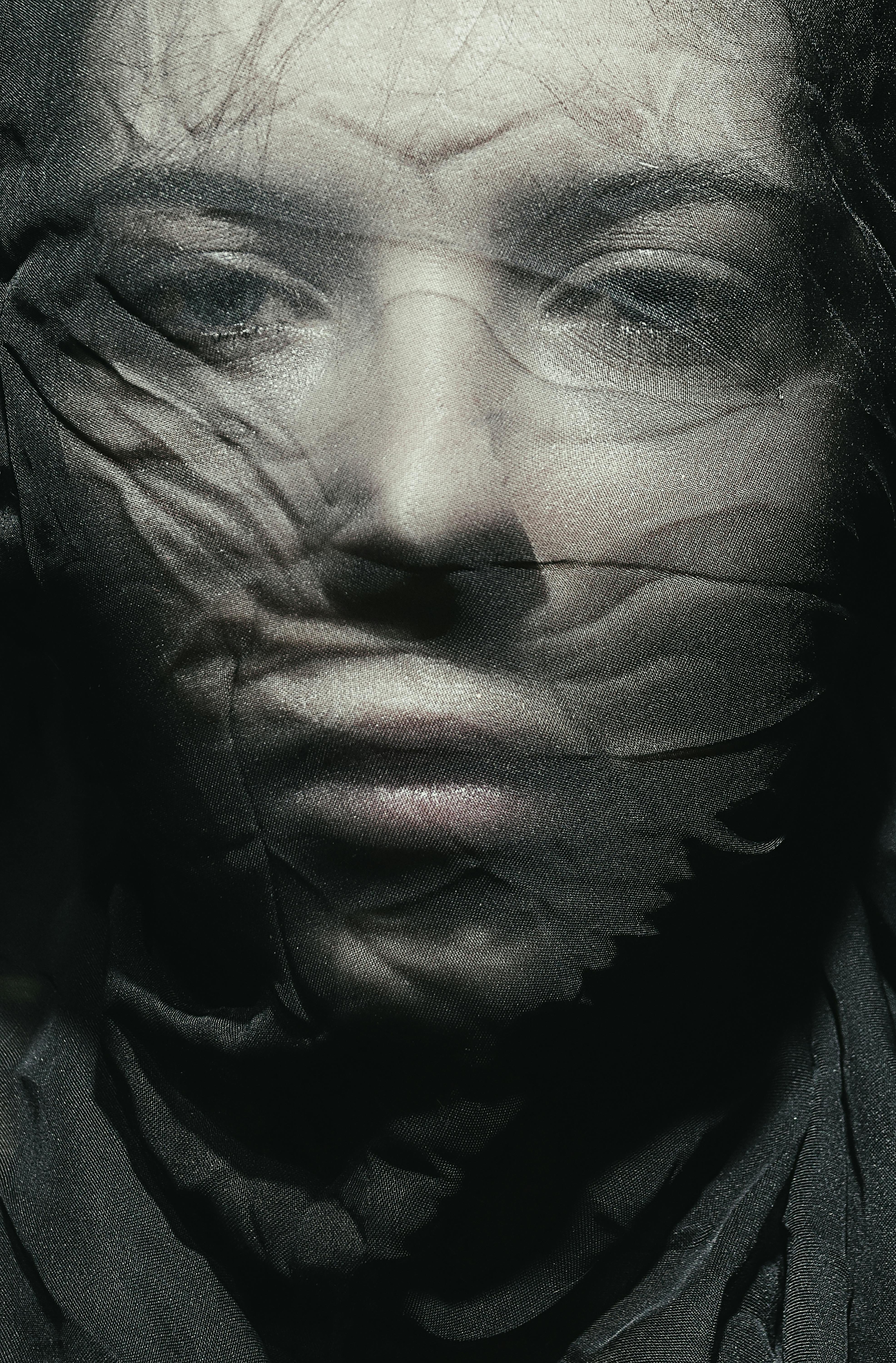 Why Do Dogs Have Wet Noses? Discover The Fascinating Reasons! 10 From Temperature to Texture: The Hidden Secrets of Your Dog's Nose You Never Knew!