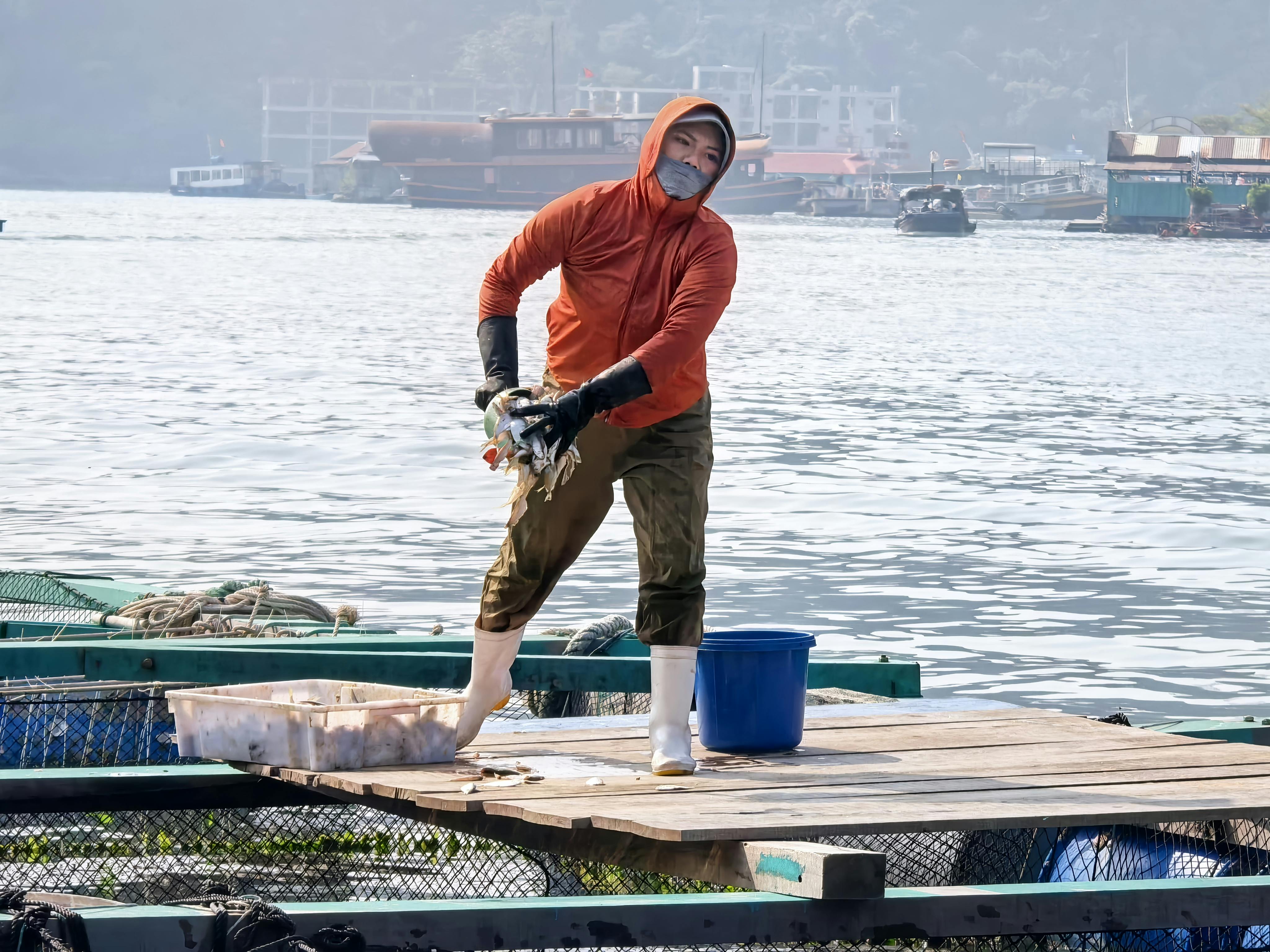 全球經濟展望：台灣財經市場迎來新機遇與挑戰