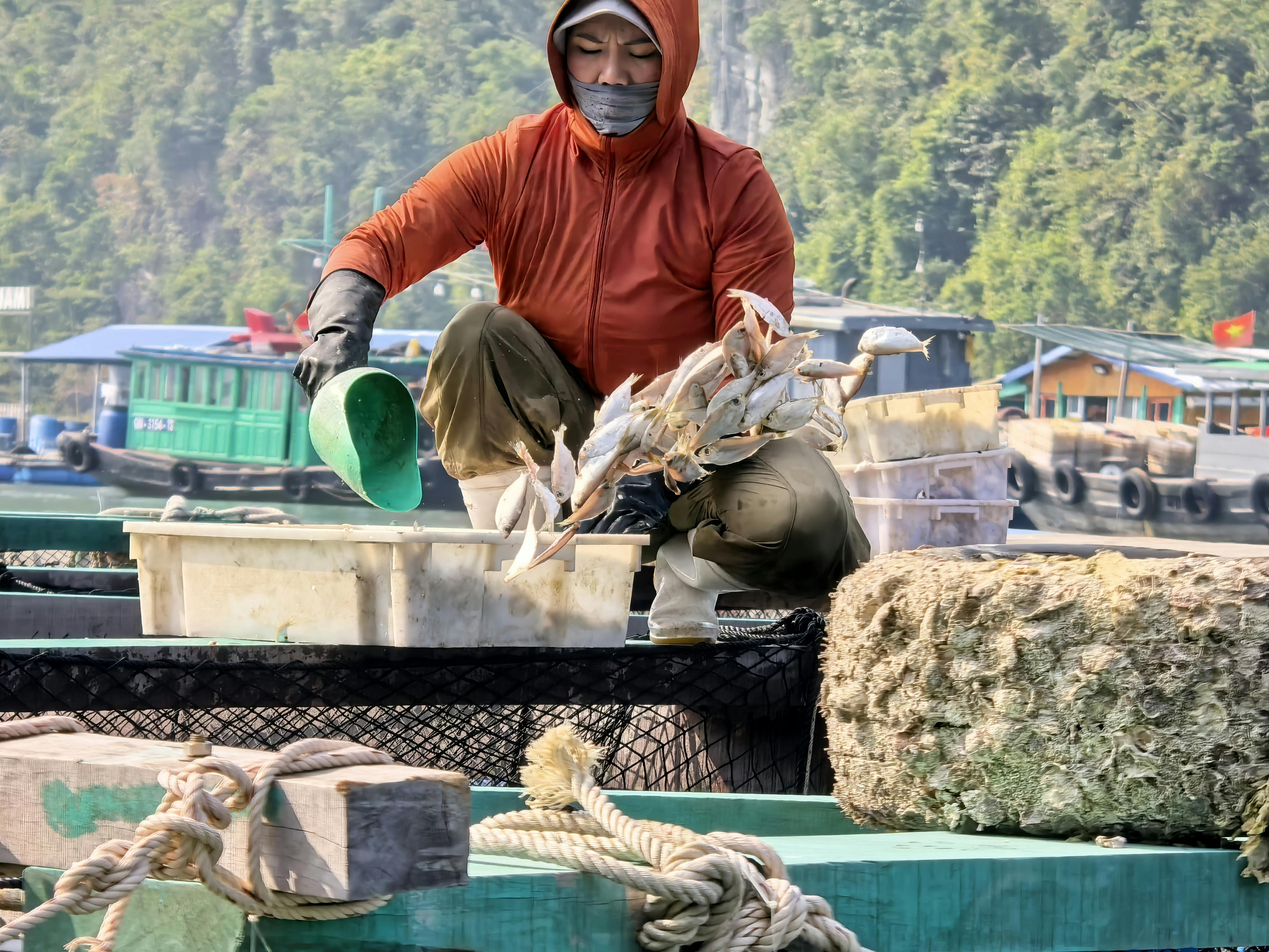 알리익스프레스 낚시의 완벽한 동반자 다목적 의자 추천 관련 이미지