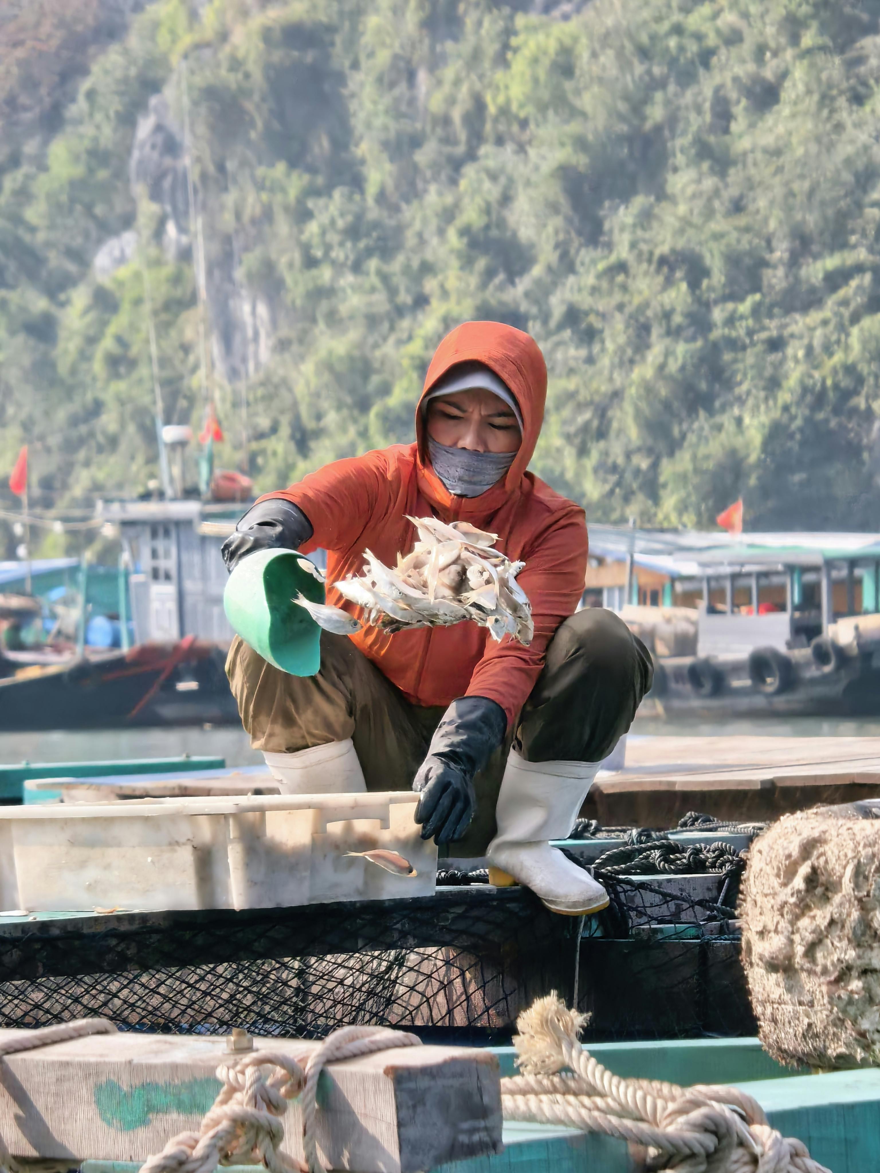 How To Catch Pompano Ebook