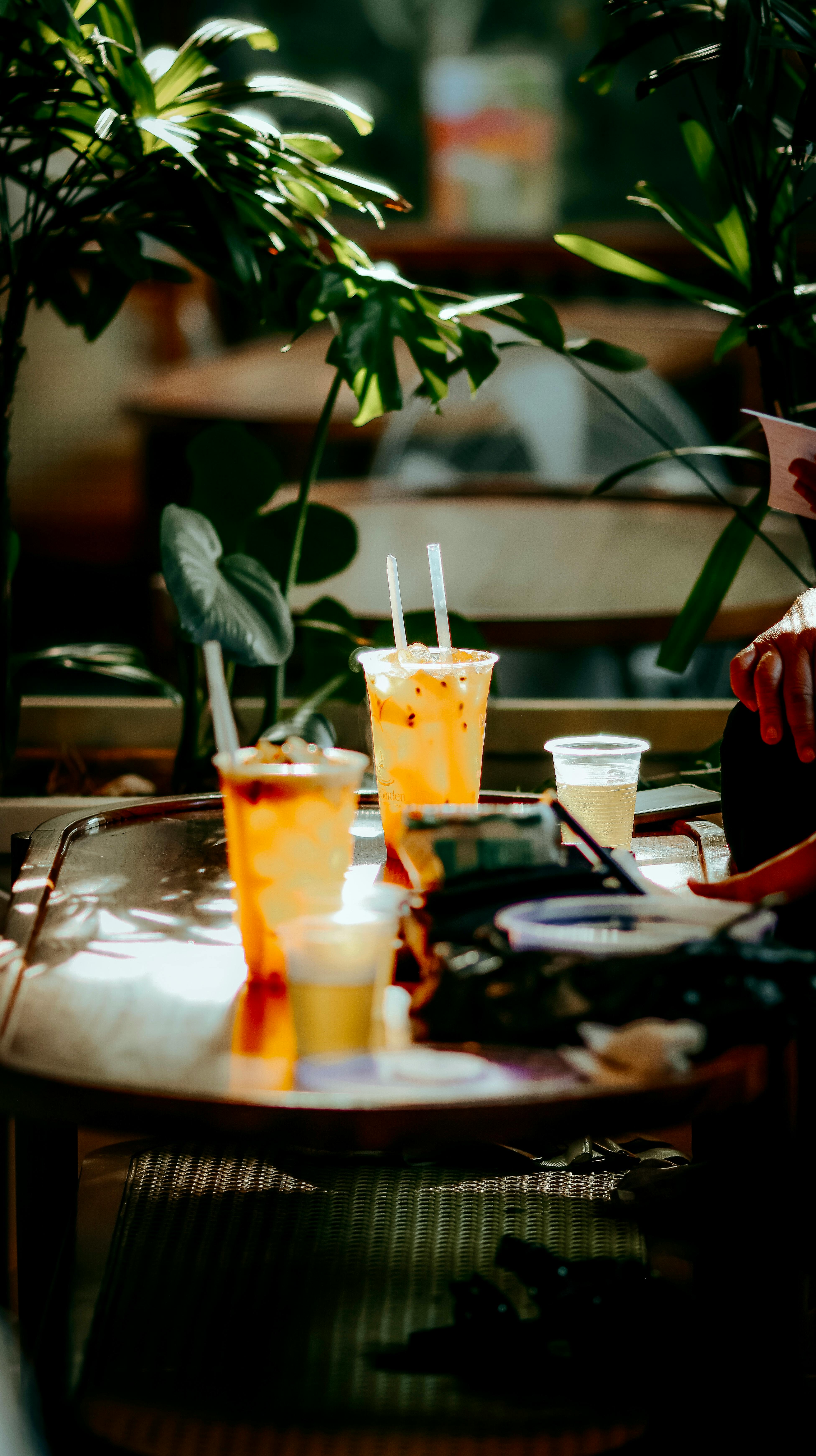 Безкоштовне Охолоджені склянки для чаю з бульбашками та трубочками, оточені пишними рослинами на сонячному столику просто неба в кафе. стокове фото