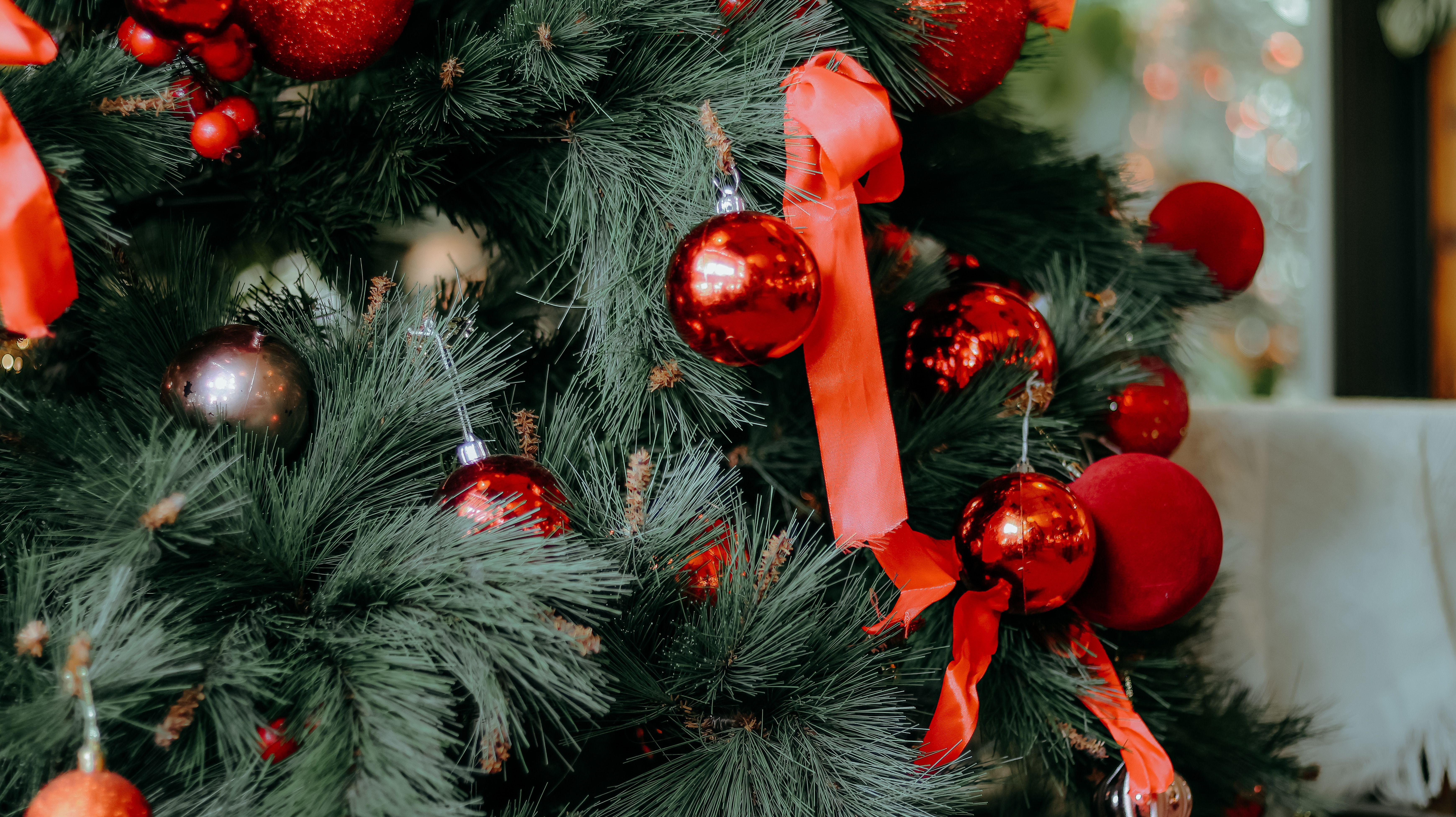Festive Christmas Tree with Red Decorations · Free Stock Photo