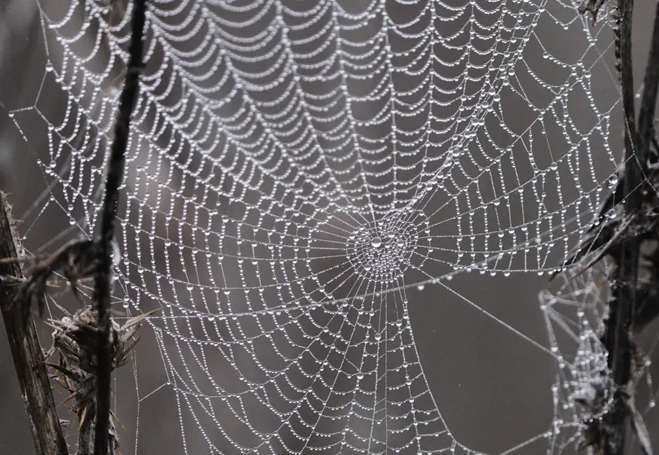 Jasa Web Design wonosobo - gambar berkualitas