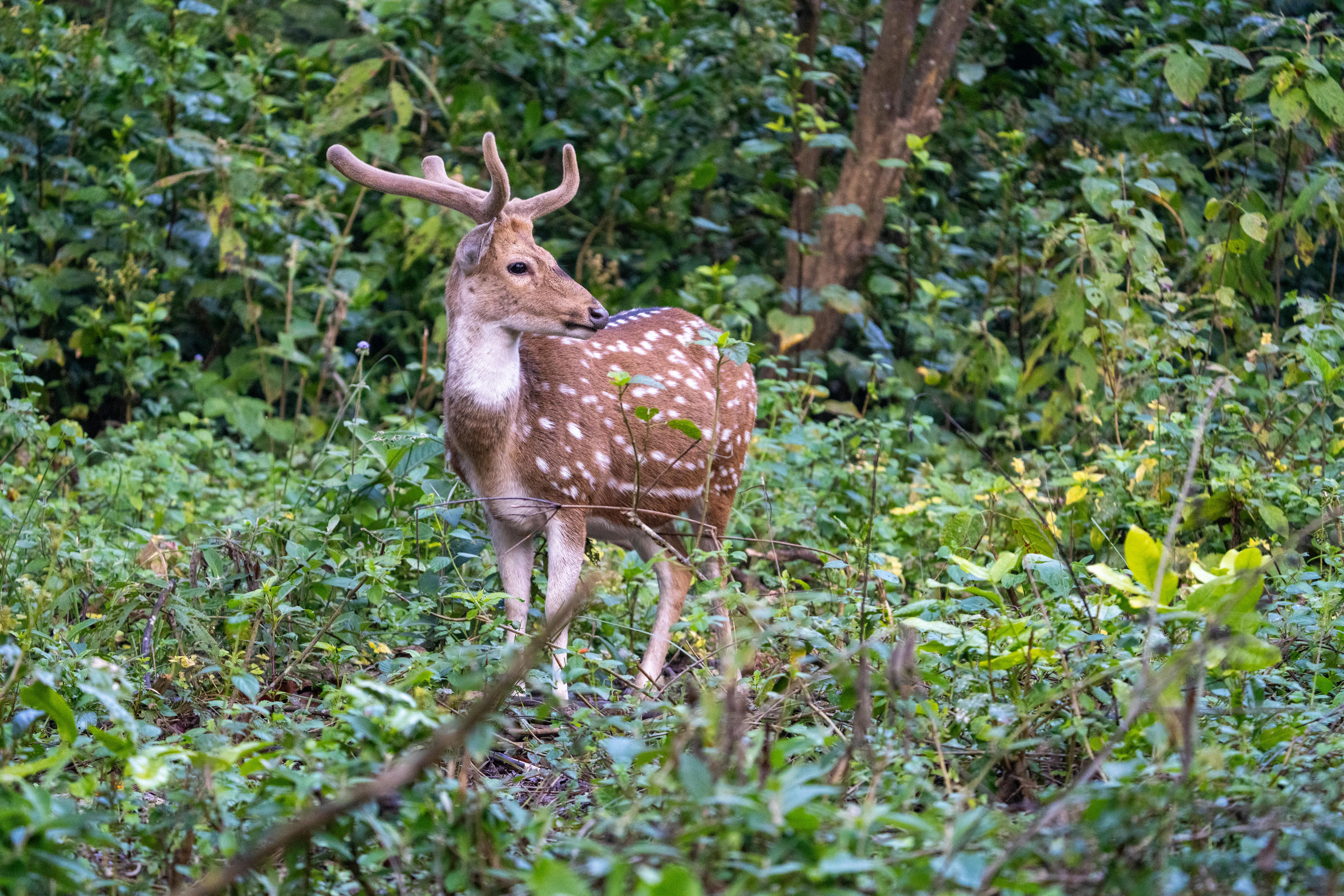Photo by Manish Sharma