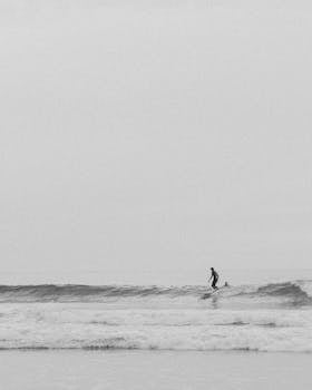 A solitary surfer catches a wave on a calm ocean day.