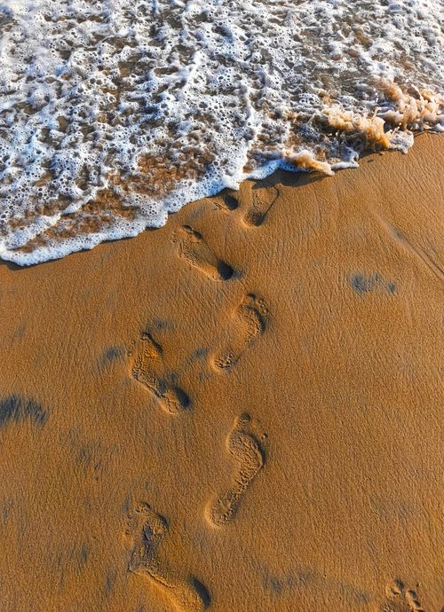 Free Captivating footprints in wet sand as ocean waves softly wash over. Stock Photo
