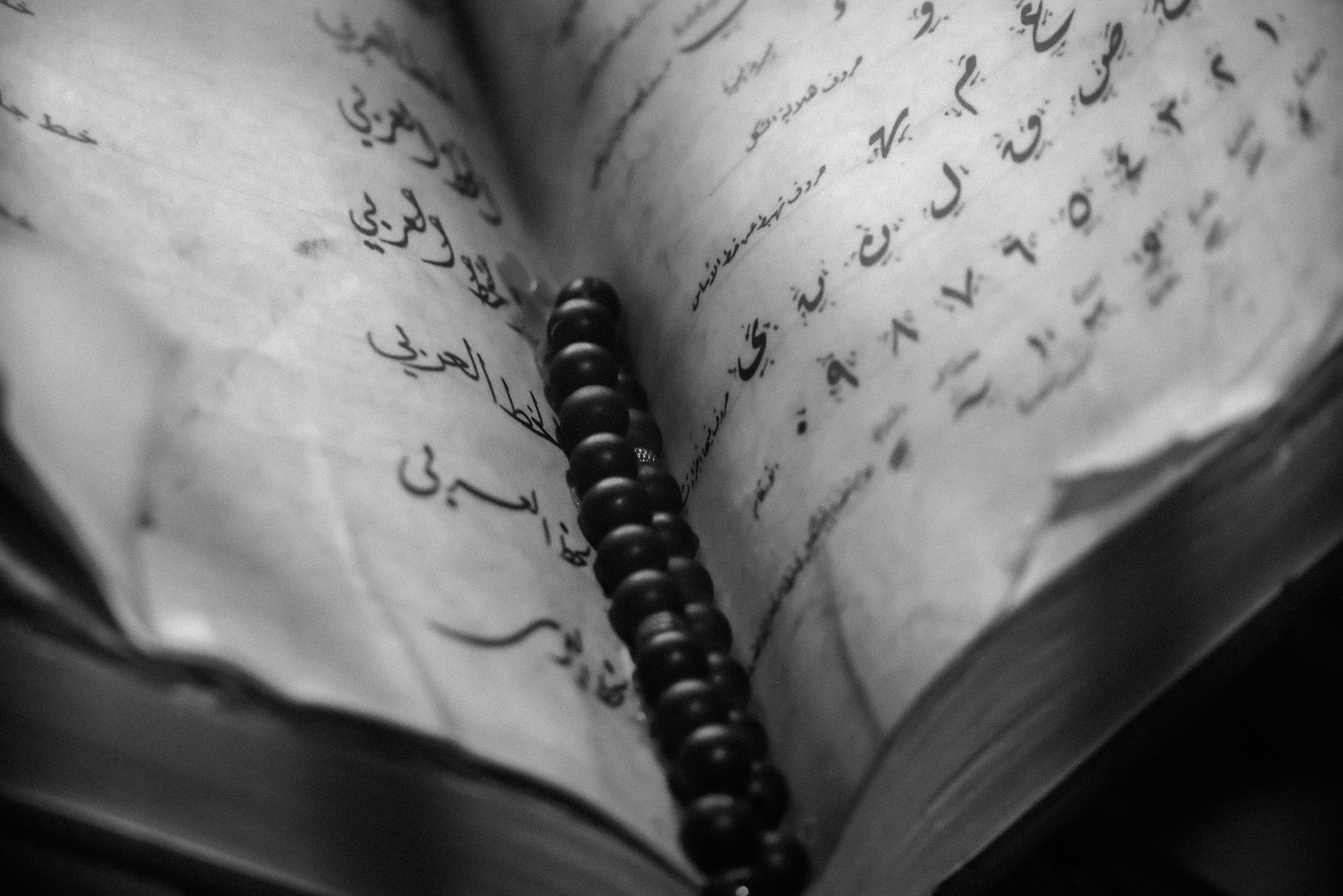 越華教育獲ISO認證，國際科展勇奪雙金展現實力