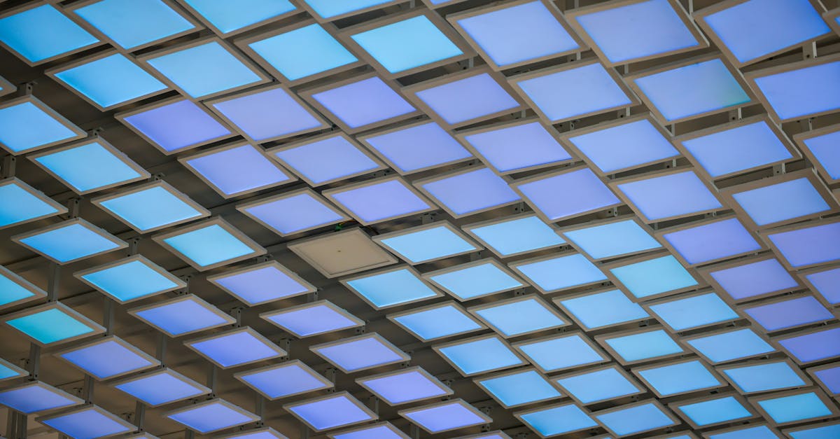 雙城論壇12月27日展開 聚焦科技合作與小貓熊交流