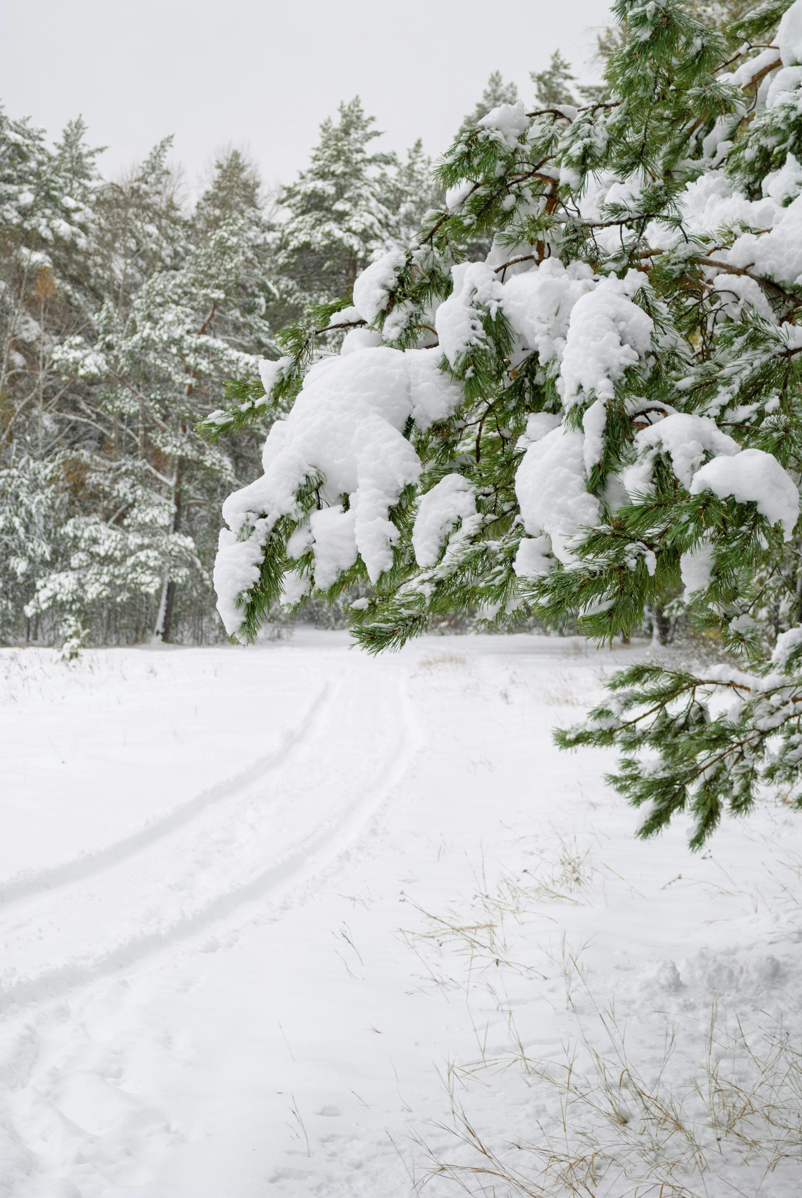 51 Ways To Cope With Frozen Shoulder Tips