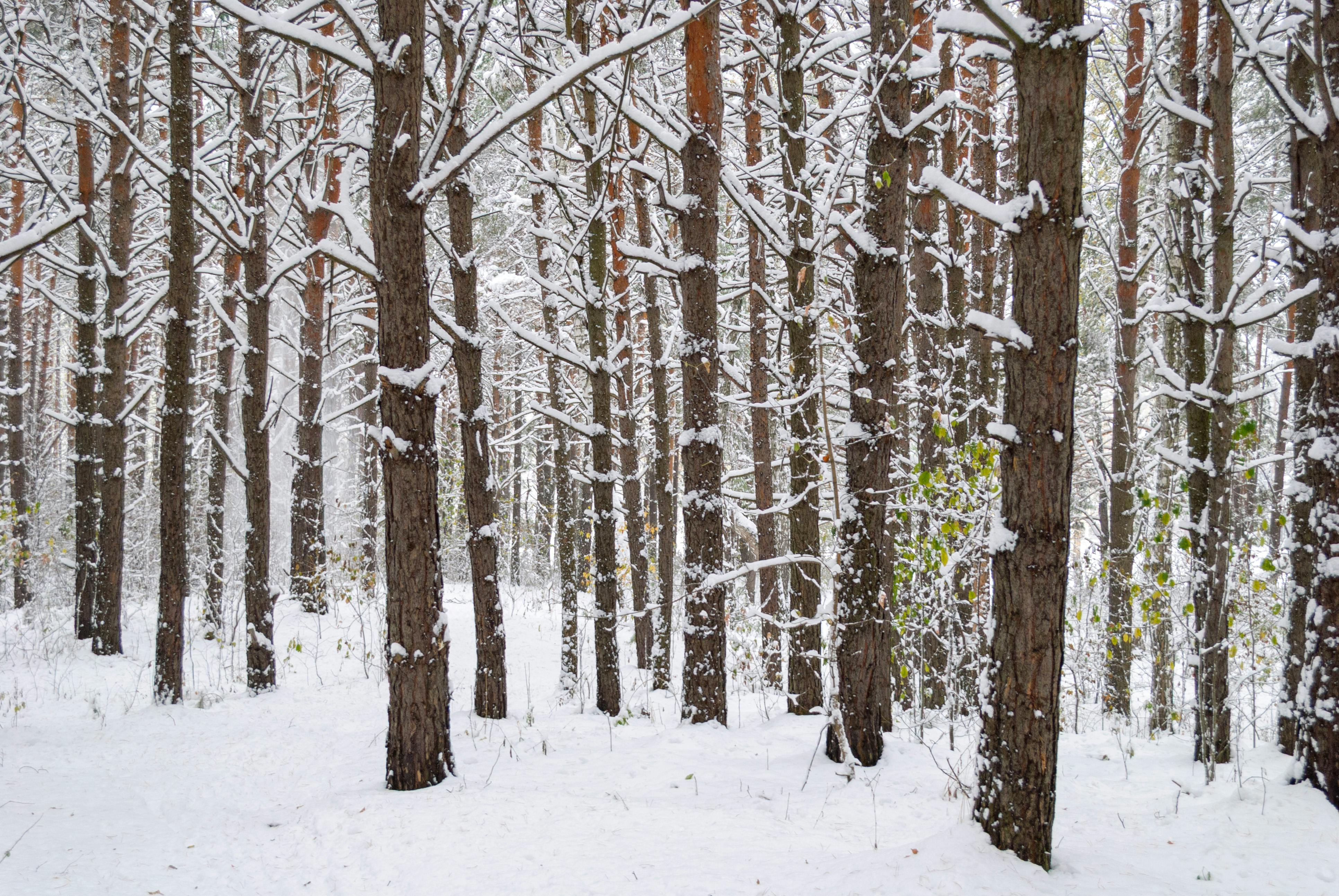 51 Ways To Cope With Frozen Shoulder Tips