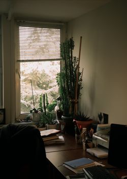A warm home office with indoor plants and snow outside, creating a cozy ambiance.