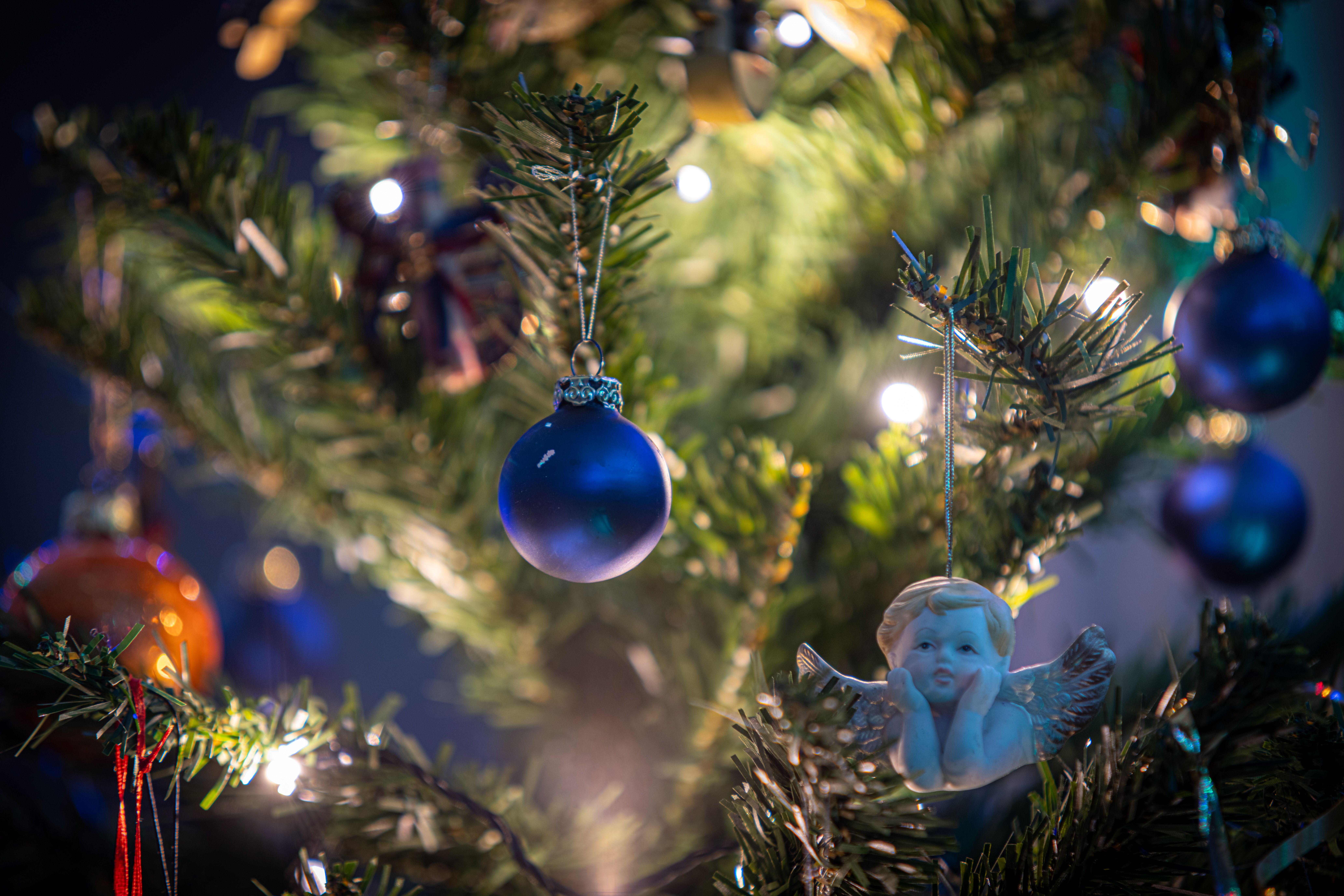 Festive Christmas Tree with Blue Ornaments · Free Stock Photo
