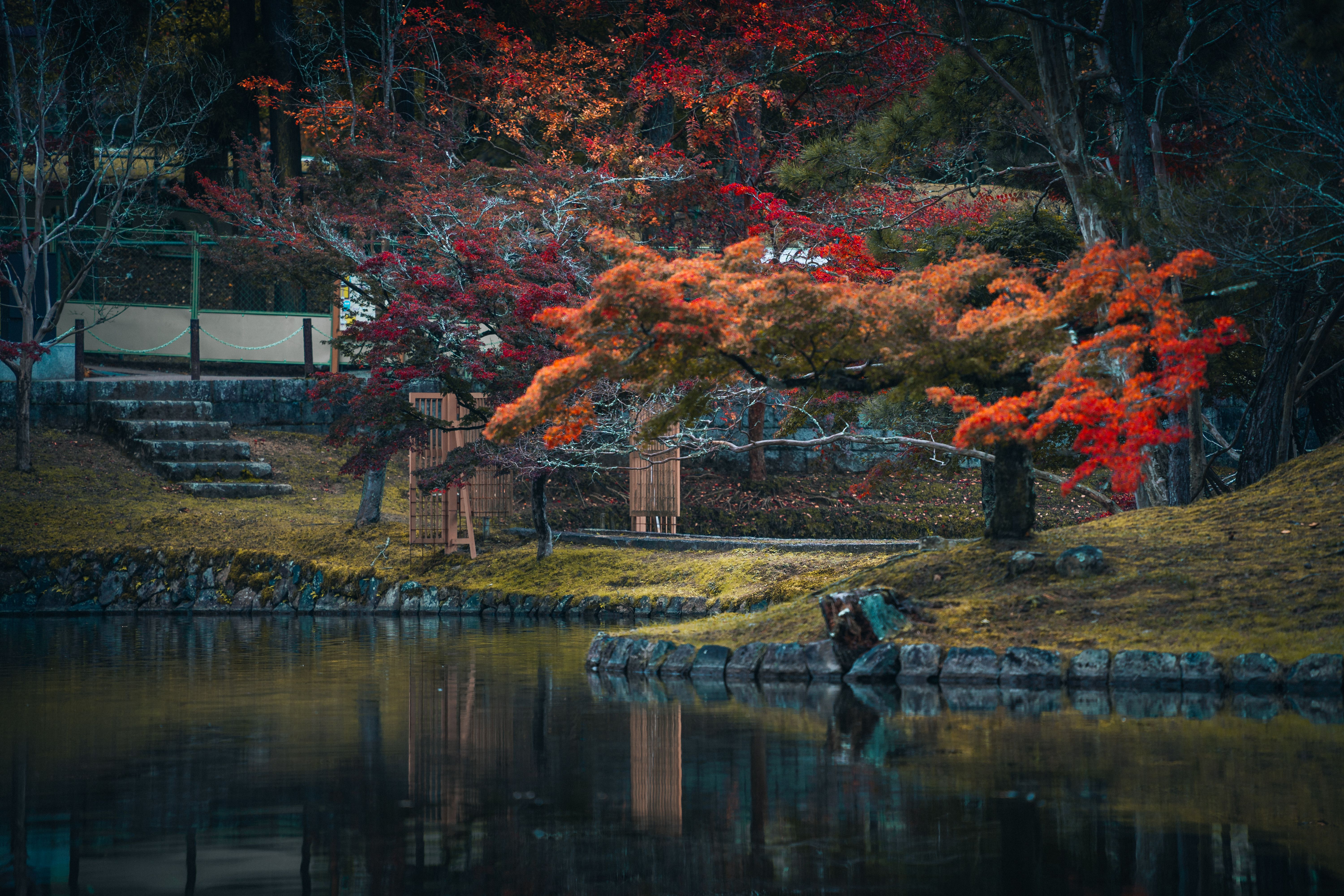 4 Day Wellness and Yoga Retreat in Nara, Japan 2