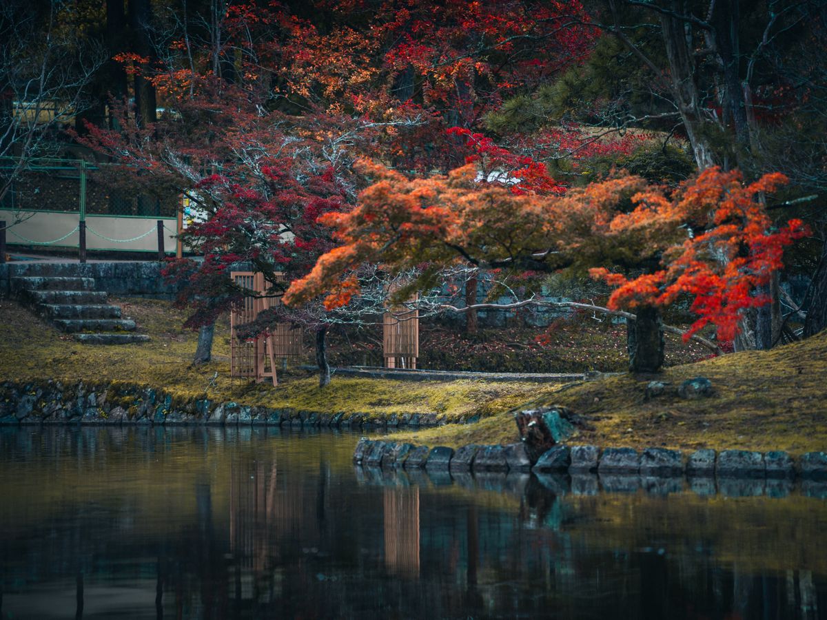 4 Day Wellness and Yoga Retreat in Nara, Japan 2