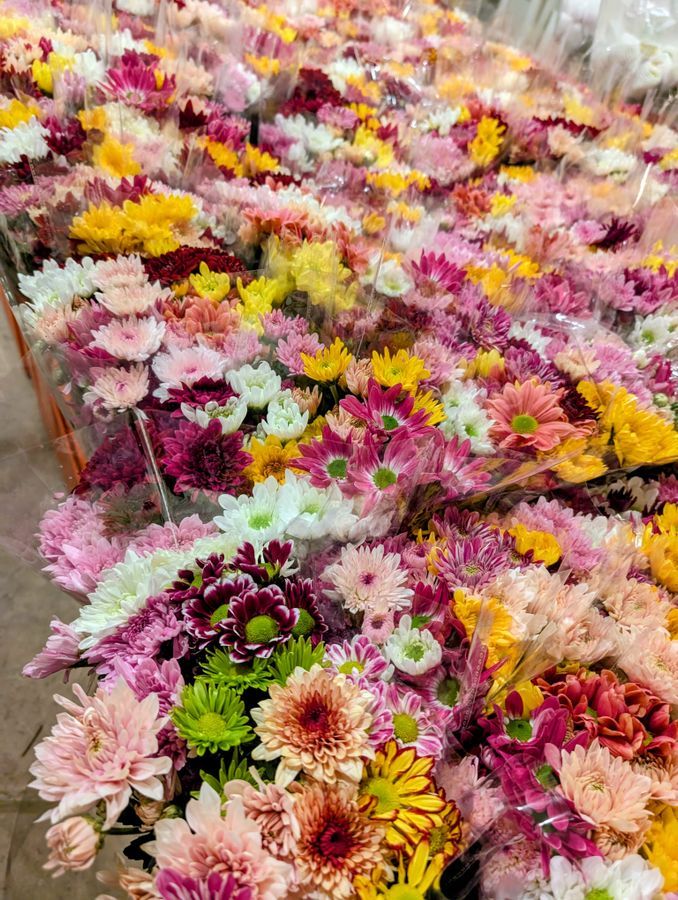 Assortment of flower bouquets in red, pink, yellow, and white