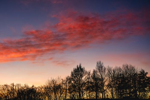 Free Gorgeous sunset with vibrant hues and silhouetted trees against the sky. Stock Photo