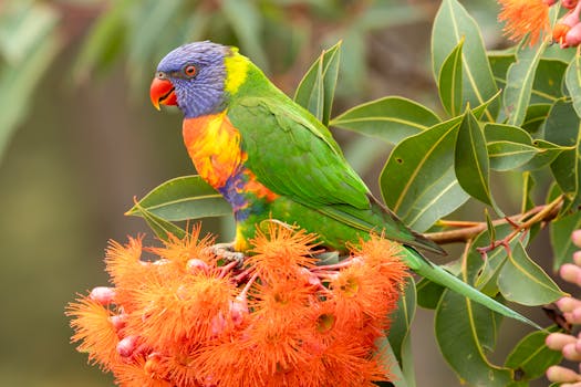 Photo by Stuart  Robinson