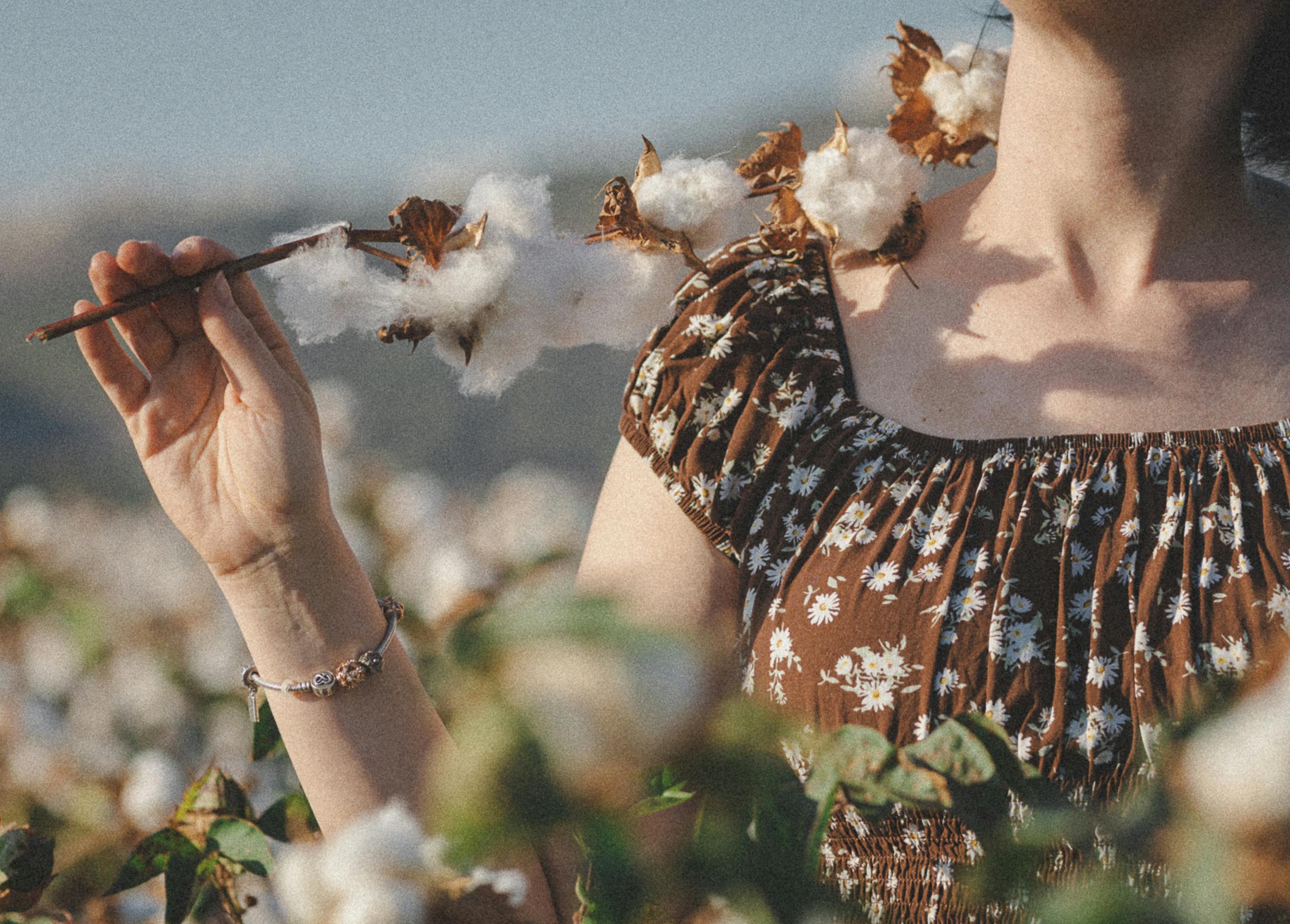 Woman gently holds a cotton branch in a flowering field, capturing a serene moment.