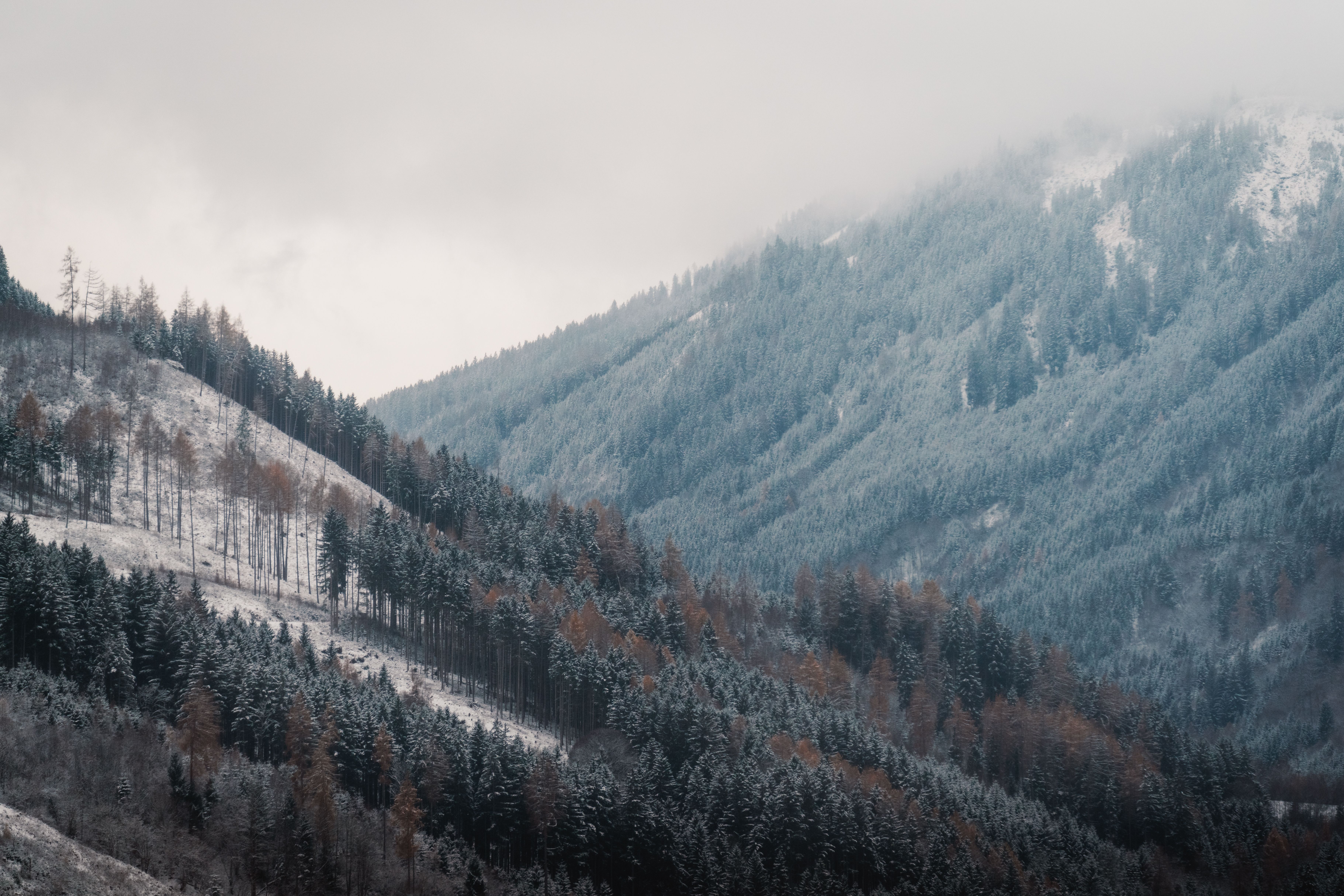 Winter Landscape of Snowy Alpine Mountains · Free Stock Photo