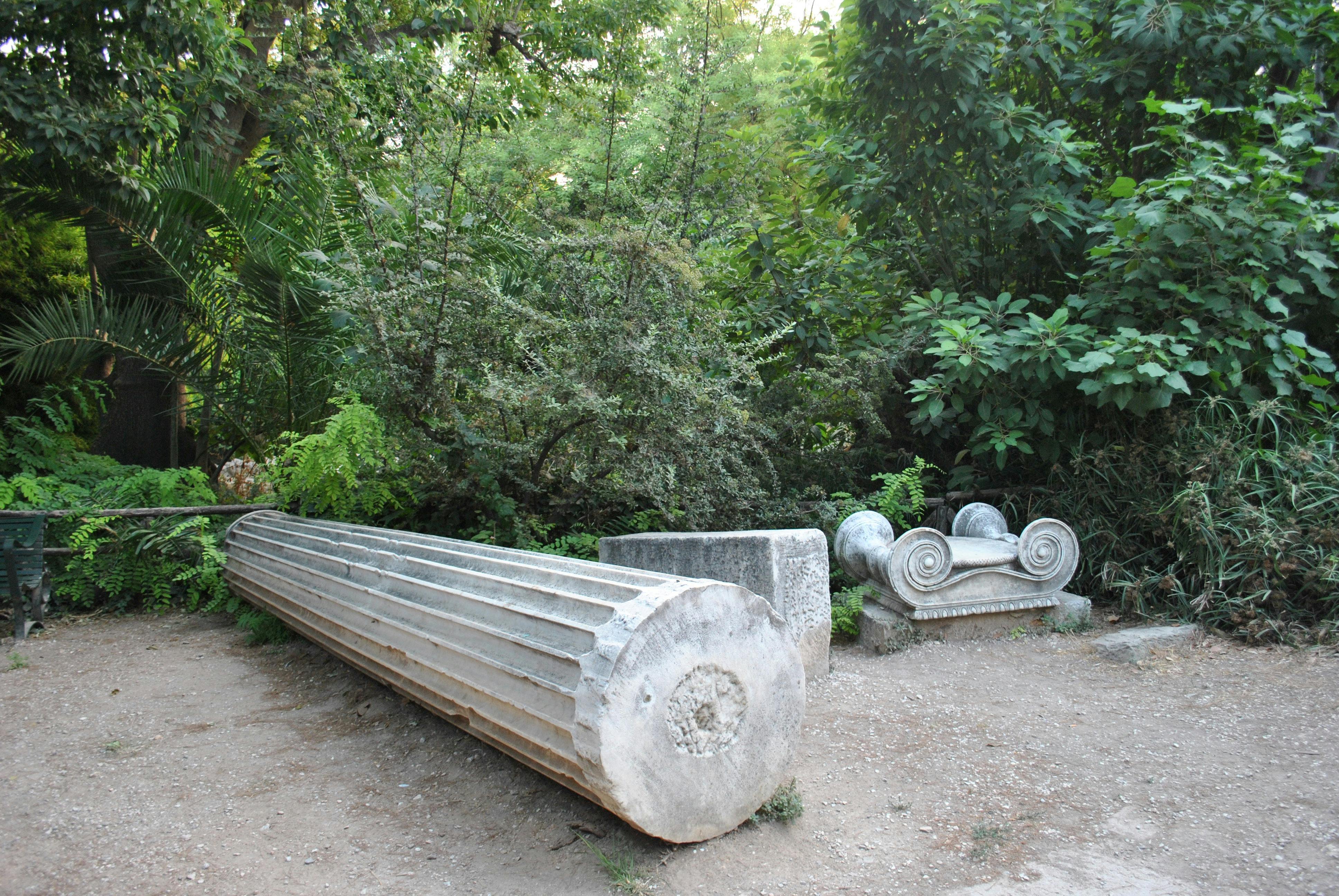 Column ruins in a verdant garden, depicting historical decay amidst natural beauty.