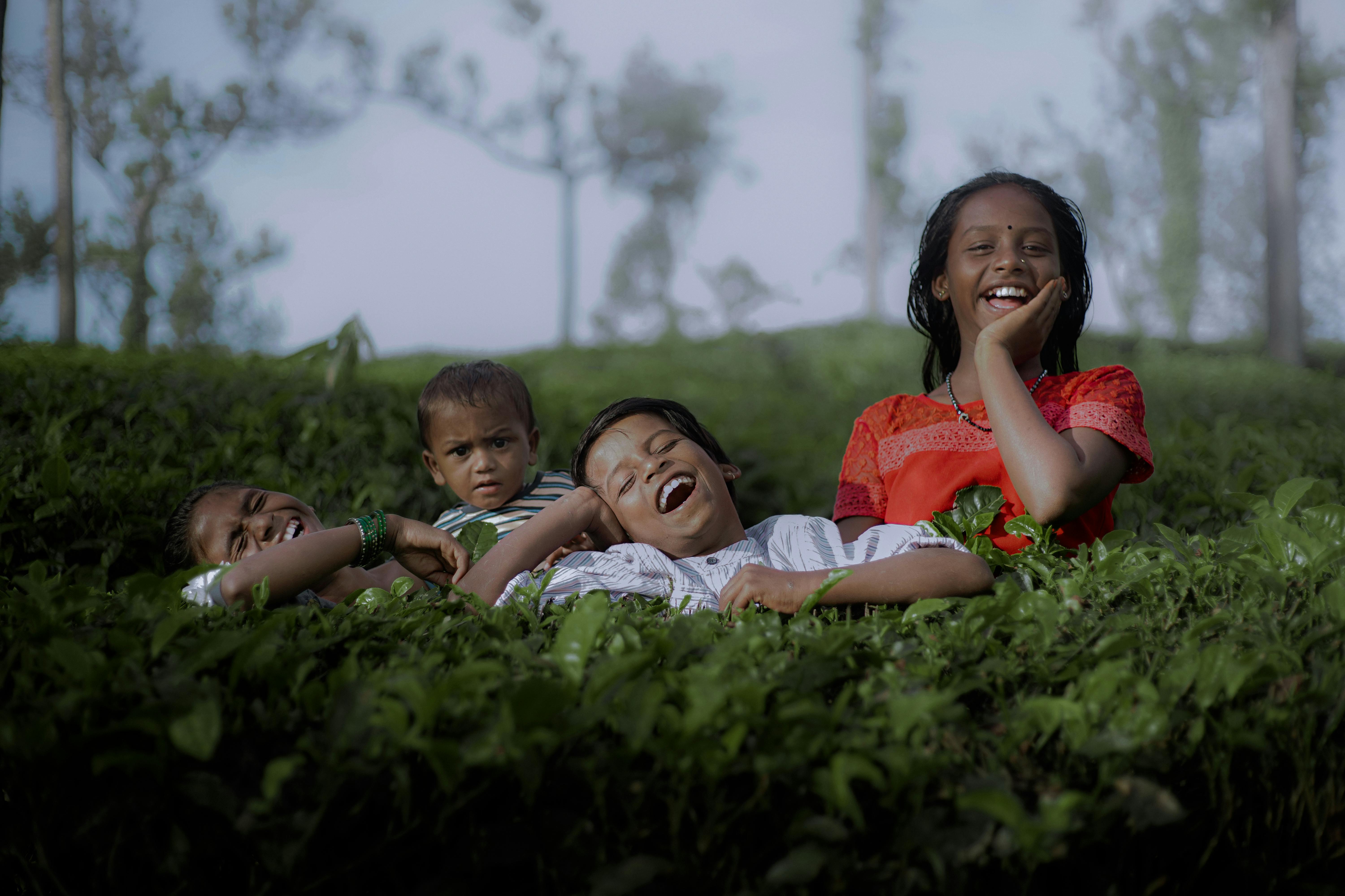 general education department kerala — Photo by Faded Photography on Pexels