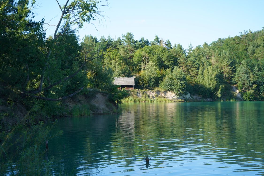 宁静的湖景,有小木屋和森林环绕的湖岸 · 免费素材图片