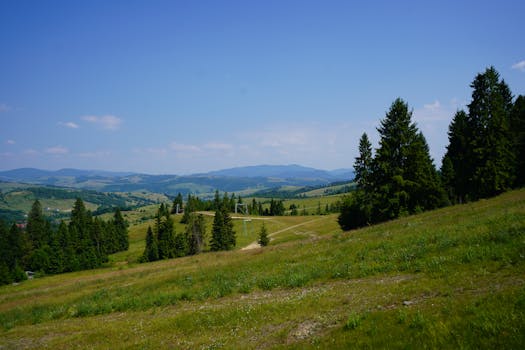 Photo by Tina Okovit