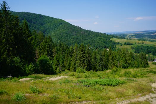 Photo by Tina Okovit