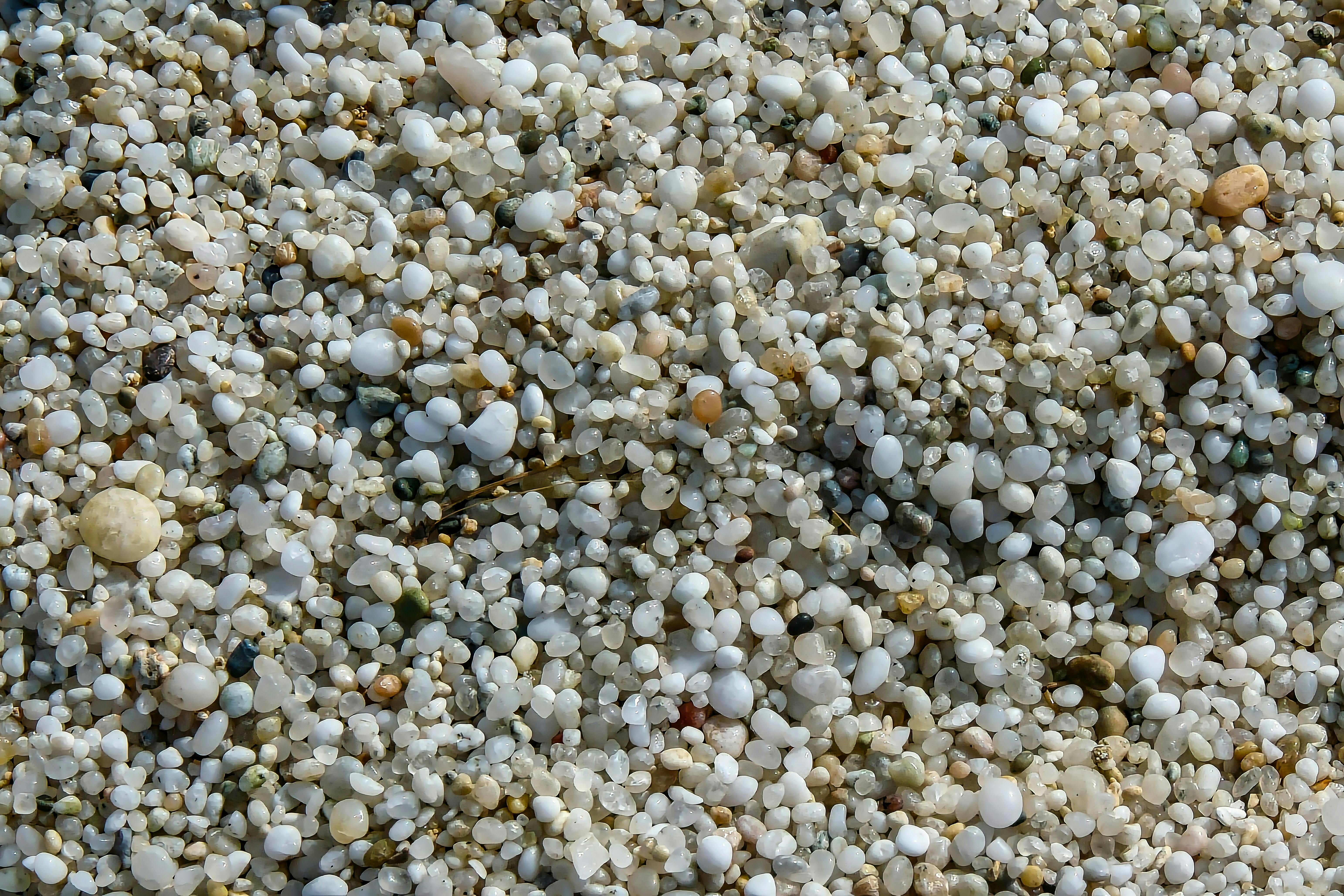 生活藝術唱場攜手梵唱音樂家 共慶1221世界靜心日