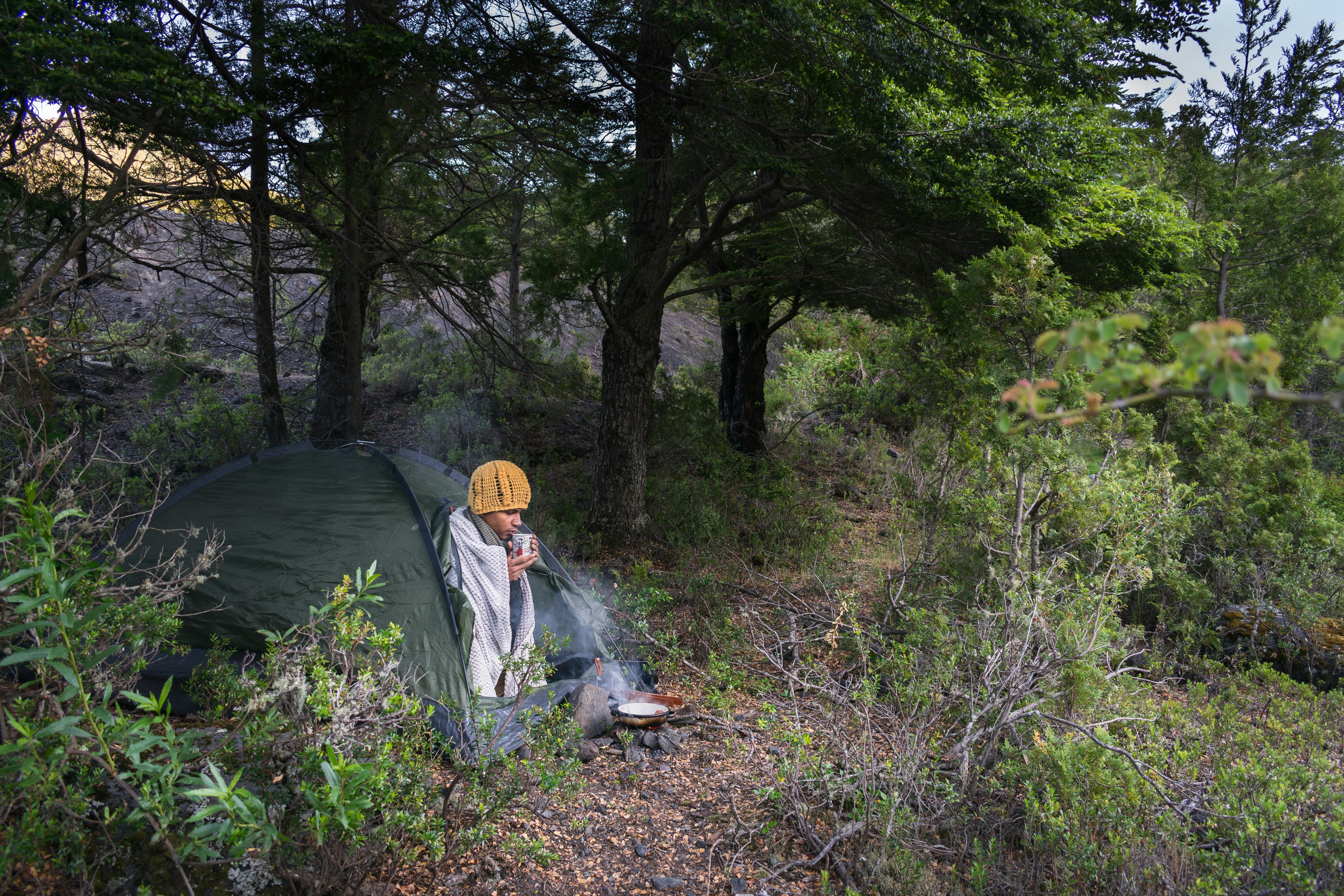 人们在宁静的森林中露营，清晨享用温暖的咖啡