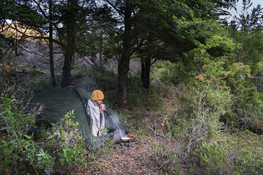 人们在宁静的森林中露营，清晨享用温暖的咖啡