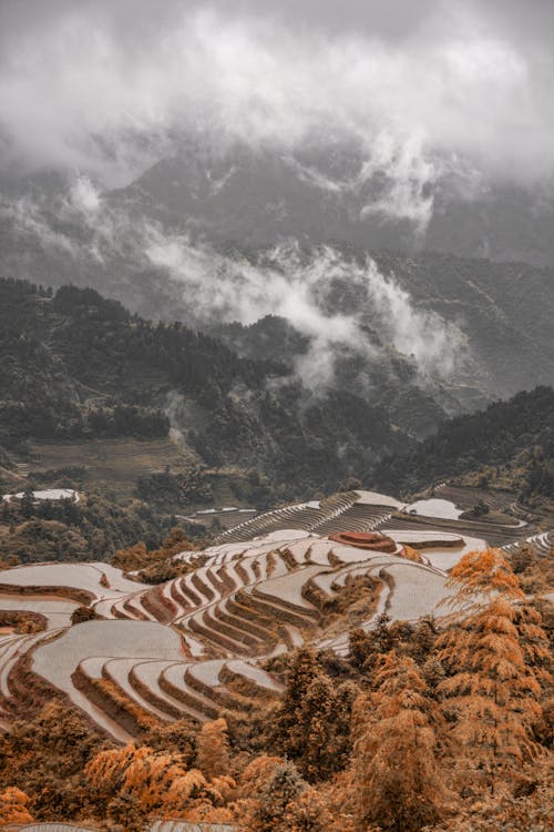 Free stock photo of china, foggy, mountain