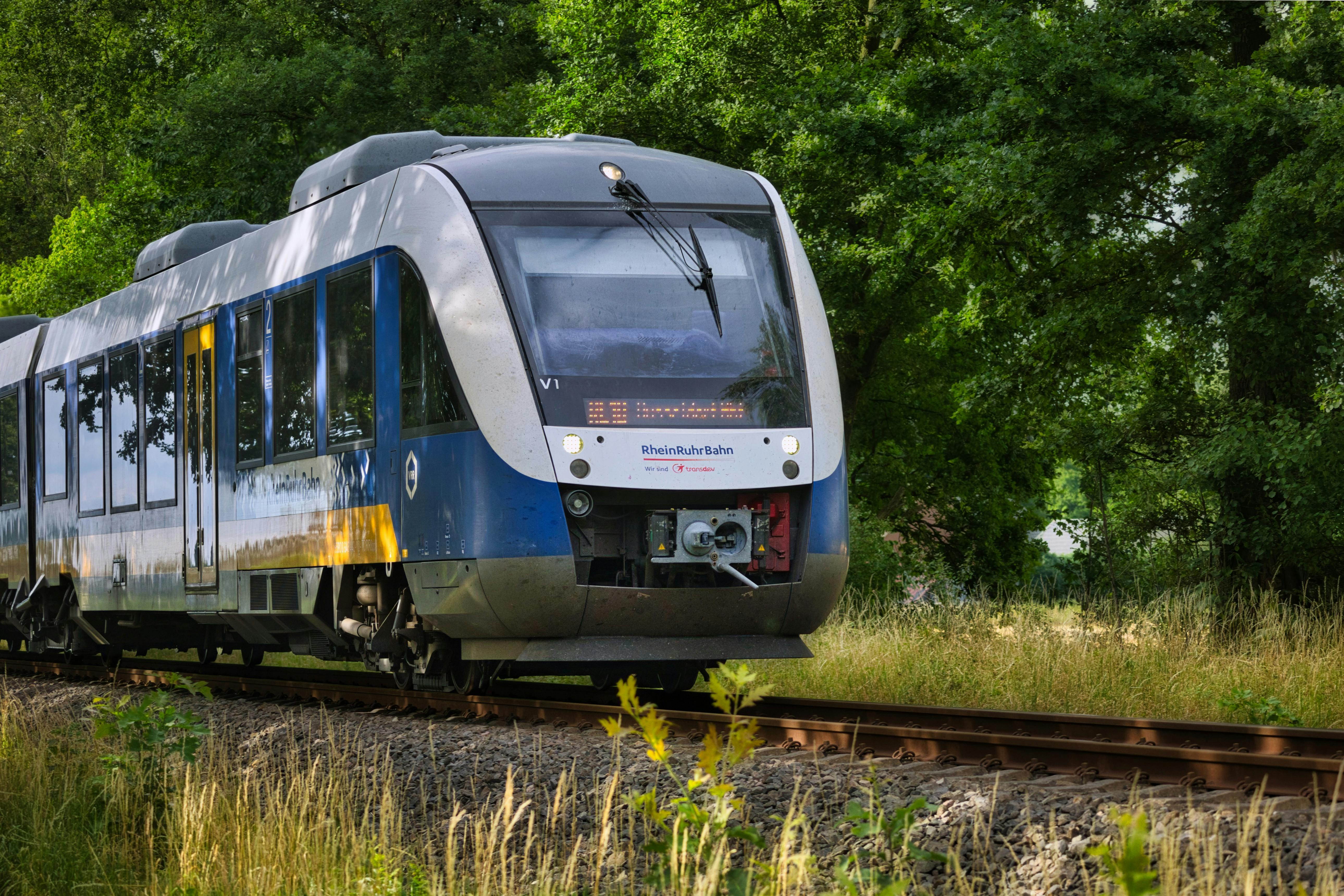 雙城論壇12月27日展開 聚焦科技合作與小貓熊交流