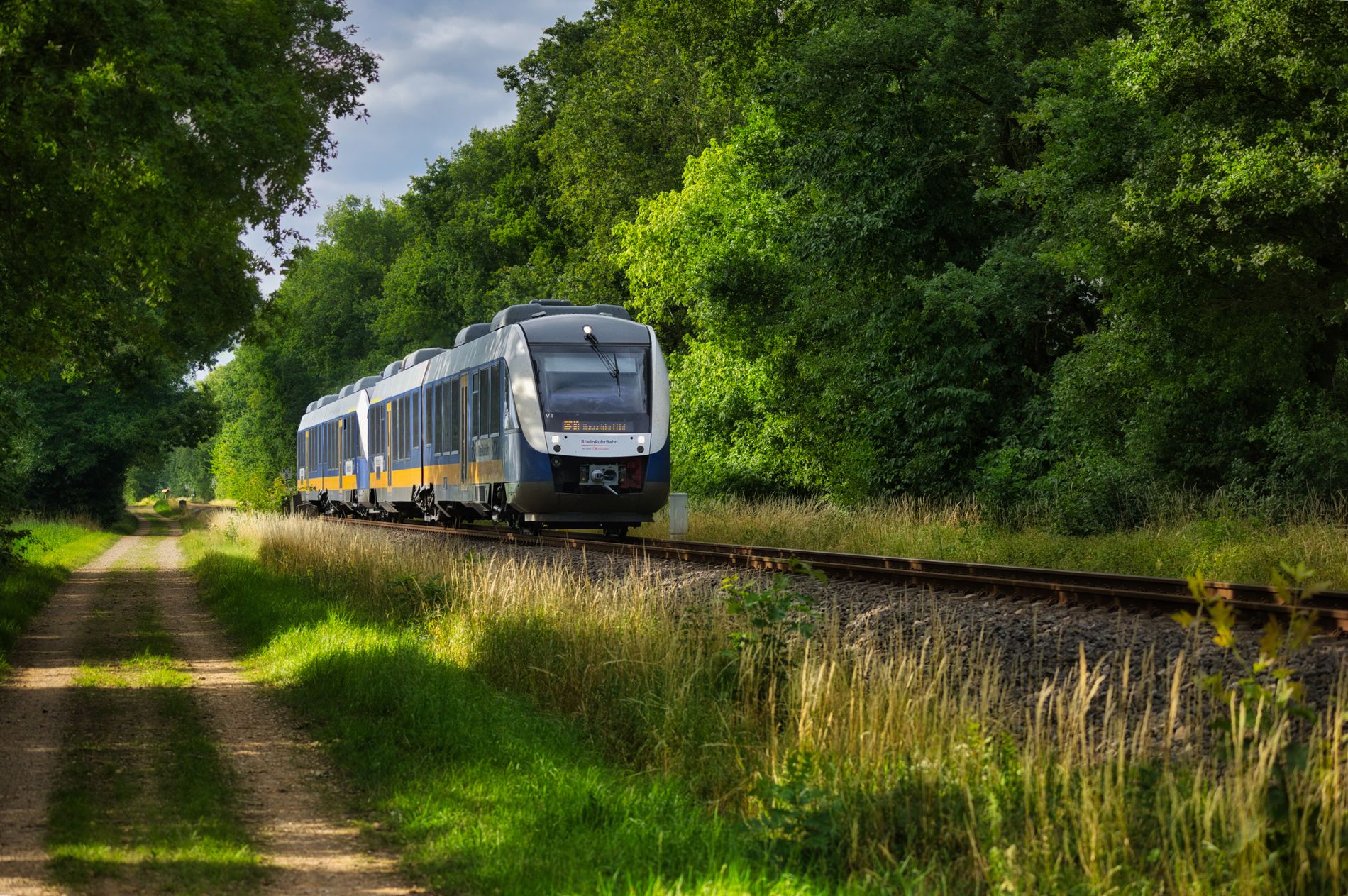 Modern passenger train moving through green countryside